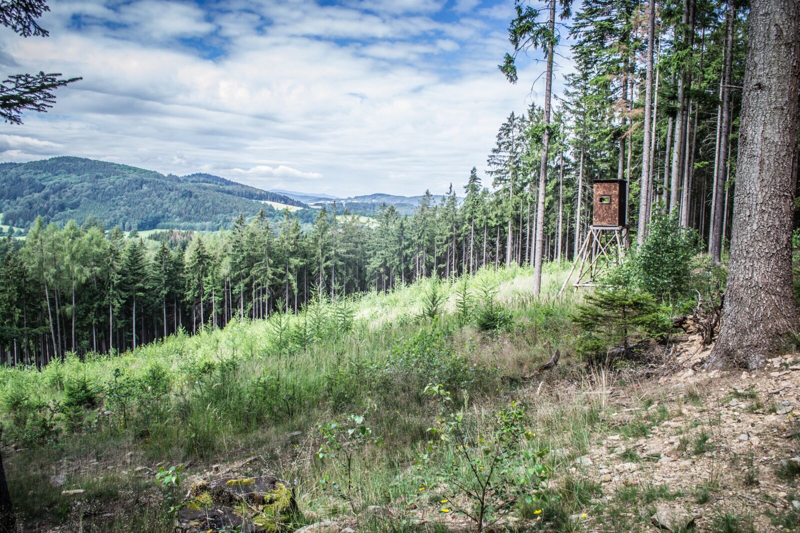 Nikon D3100 sample photo. Views, landscape, clouds photography