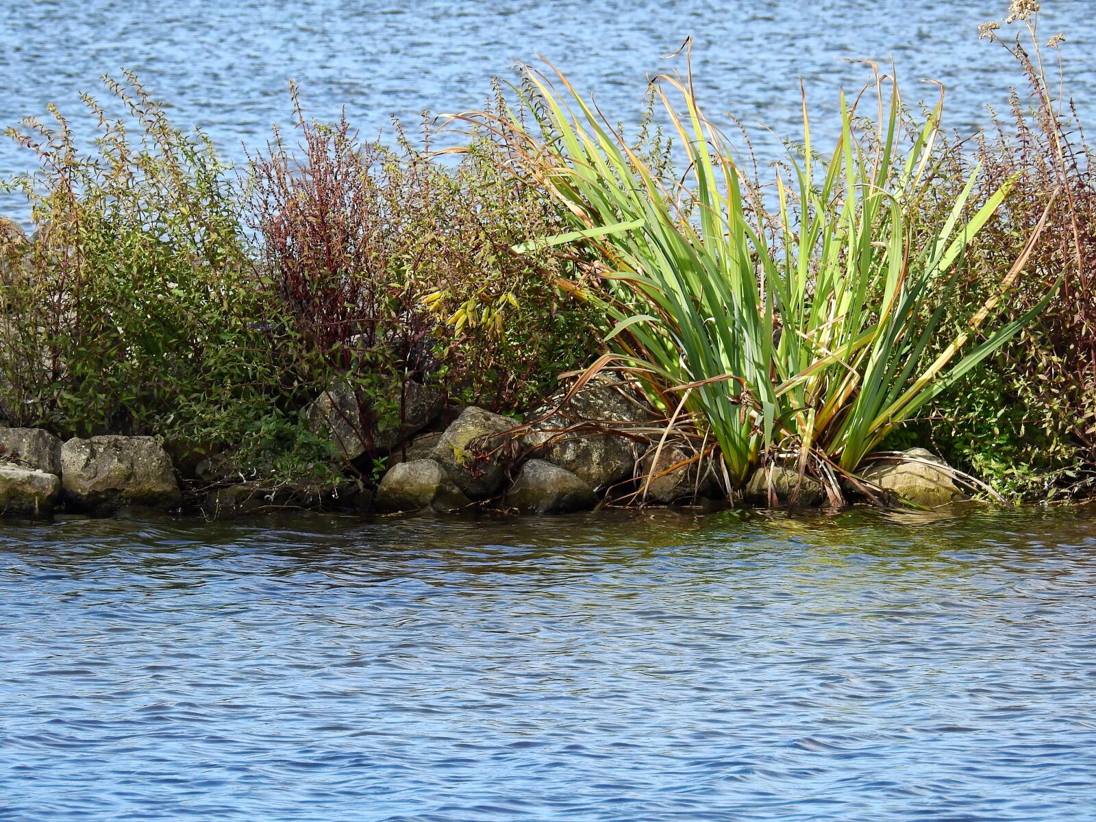 Nikon Coolpix P900 sample photo. Lake, sea, water photography
