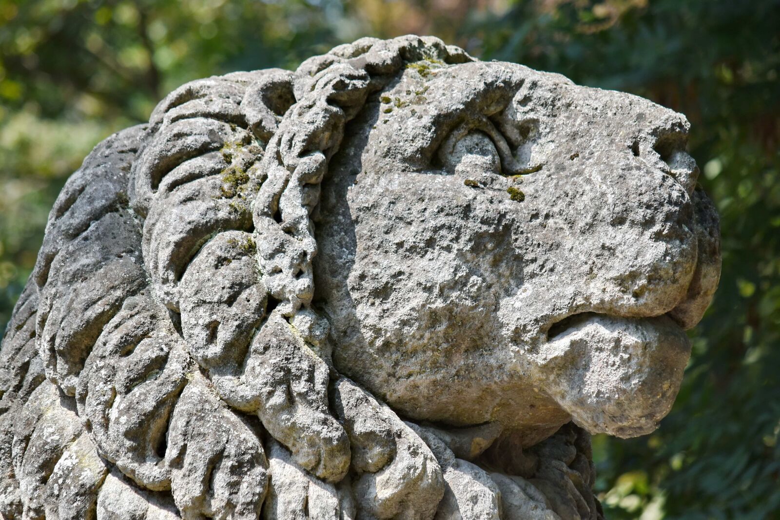 Nikon D5500 sample photo. Granite, lion, statue, sculpture photography