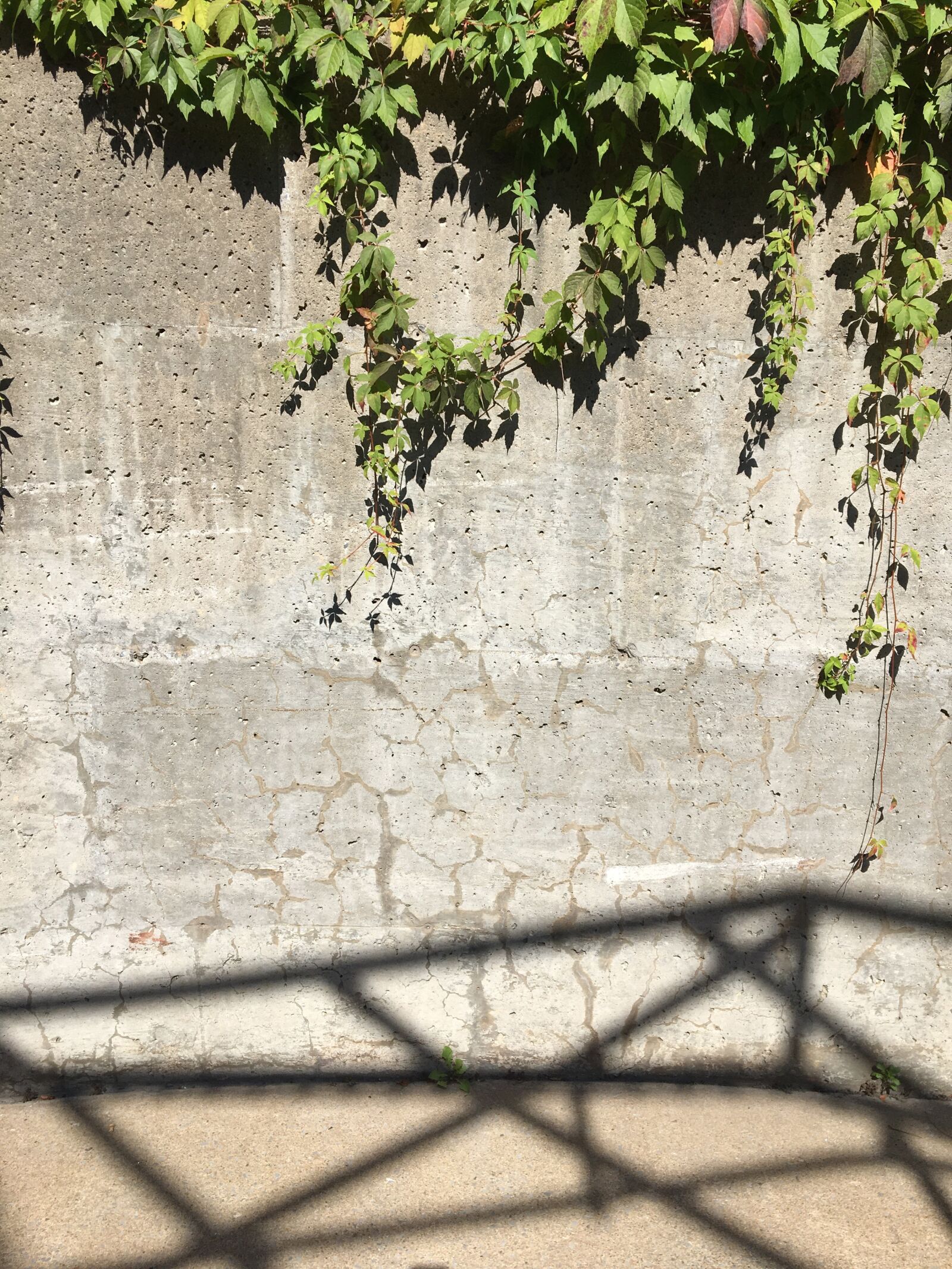 Apple iPhone 6s sample photo. Wall, cement, texture photography