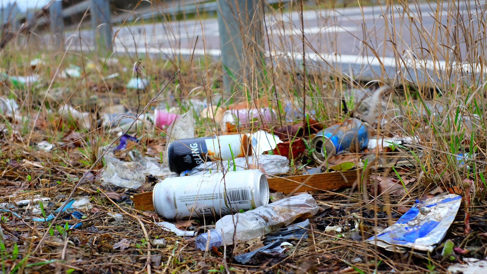 Fujifilm X-T10 + Fujifilm XF 35mm F1.4 R sample photo. Nature, garbage, environment photography