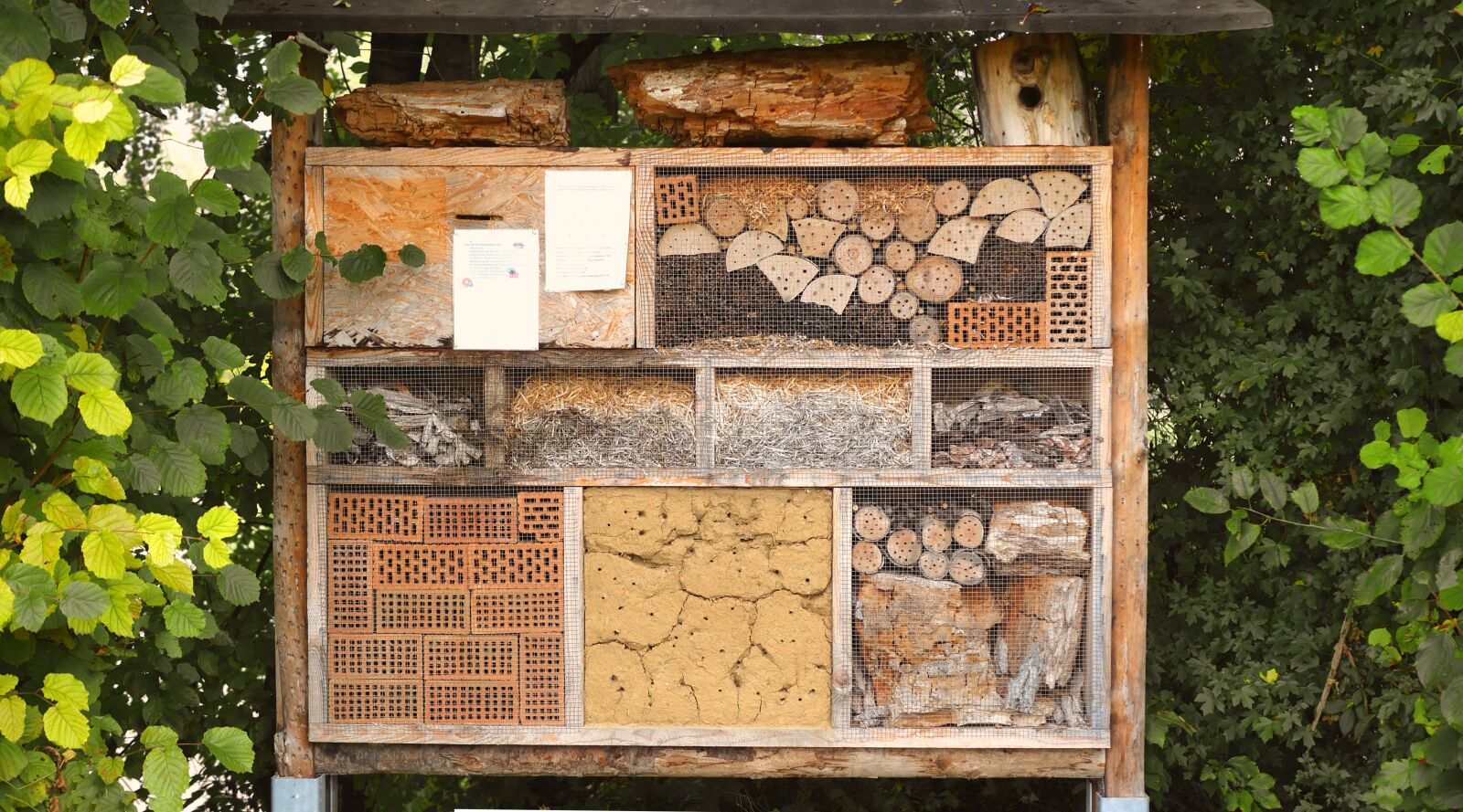 Panasonic Lumix DMC-GX8 sample photo. Insect house, nature conservation photography
