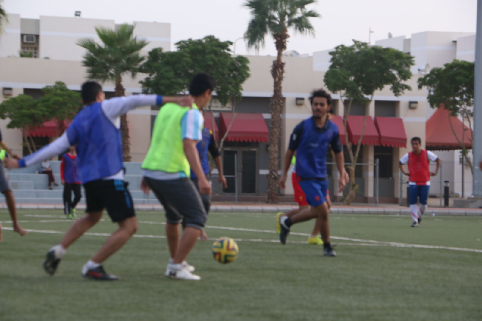 Canon EOS 70D sample photo