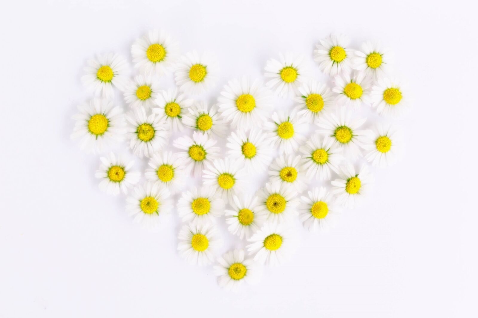 Canon EOS 1200D (EOS Rebel T5 / EOS Kiss X70 / EOS Hi) sample photo. Daisy, heart, daisy heart photography