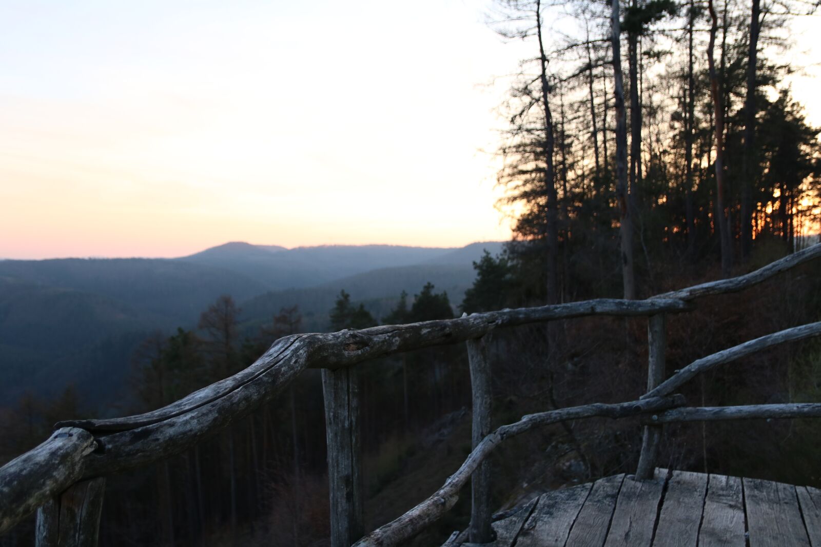 Canon EOS 750D (EOS Rebel T6i / EOS Kiss X8i) sample photo. Sunset, wood, tree photography