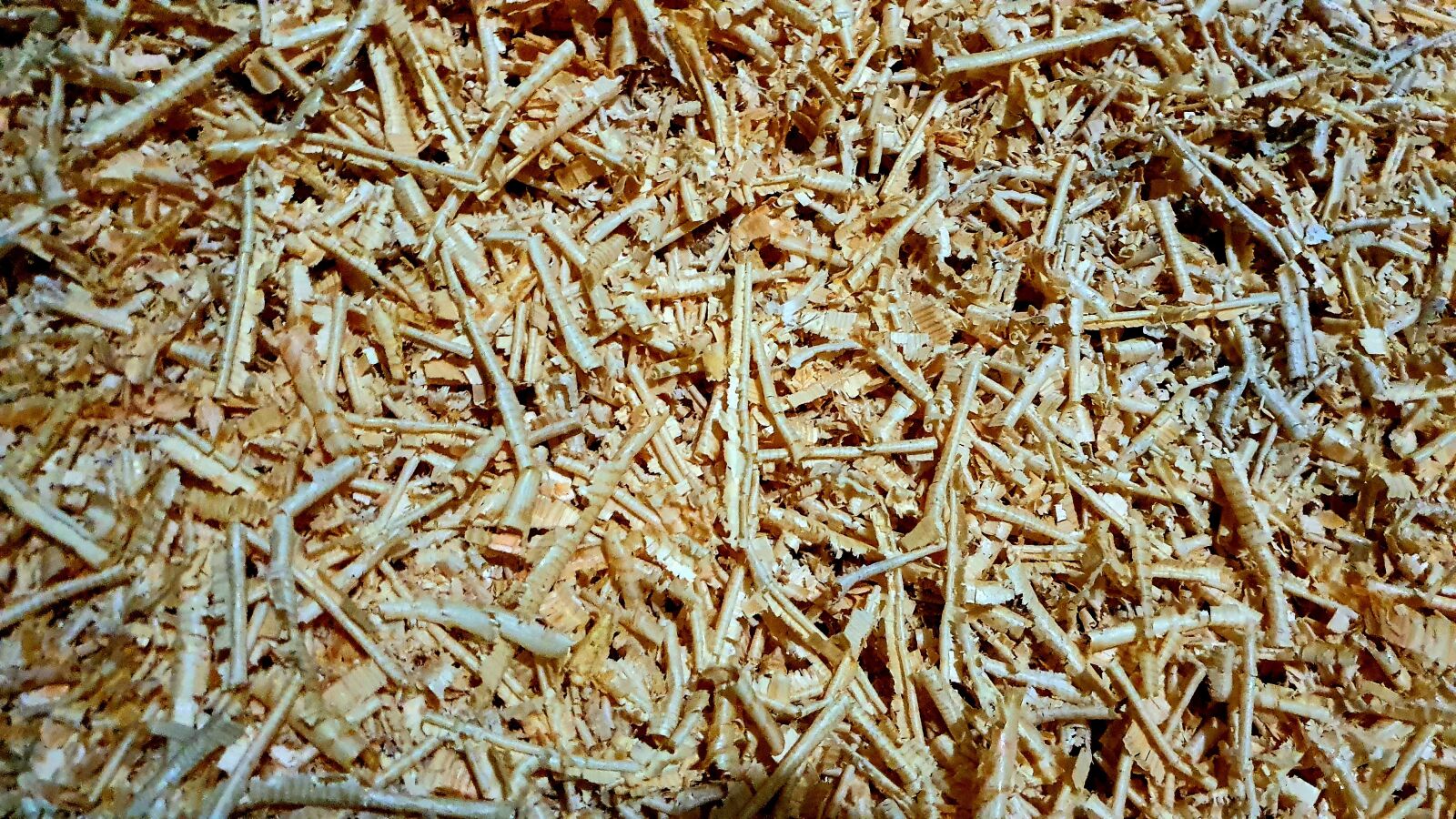 Samsung Galaxy S10e sample photo. Sawdust, wood-fibre boards, timber photography