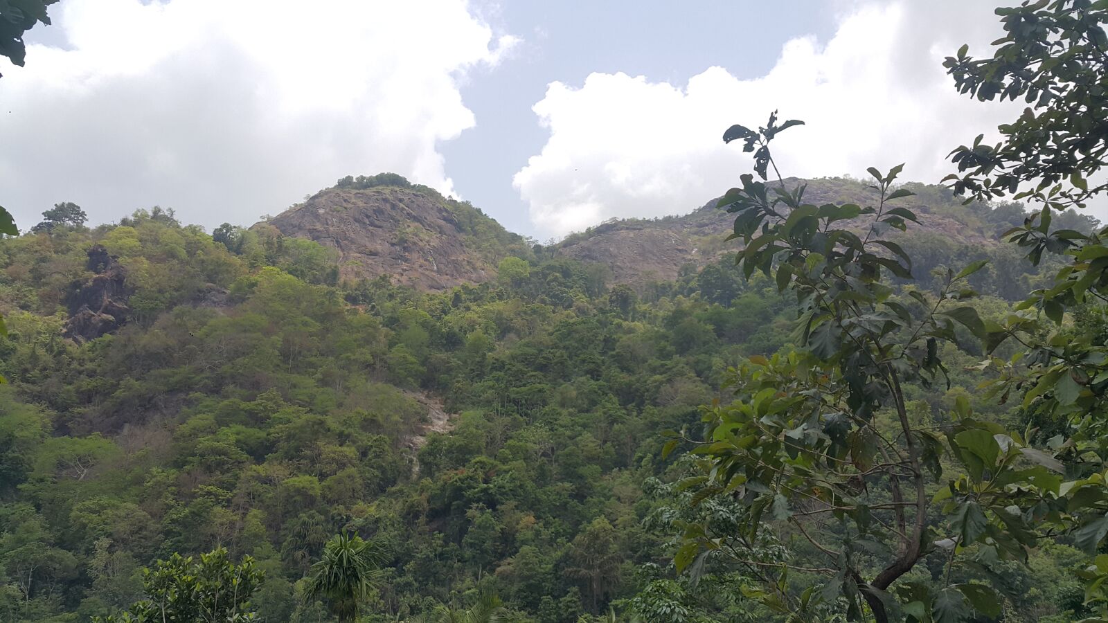 Samsung Galaxy Note4 sample photo. Palukachi, palukachimala, kottiyoor photography