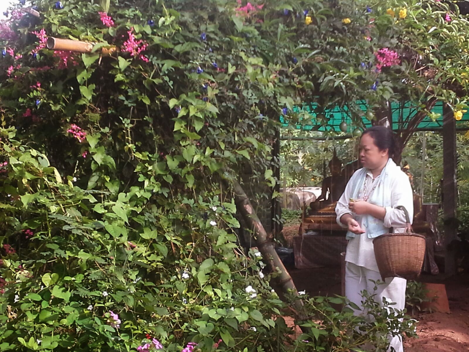 Samsung Galaxy Note 10.1 sample photo