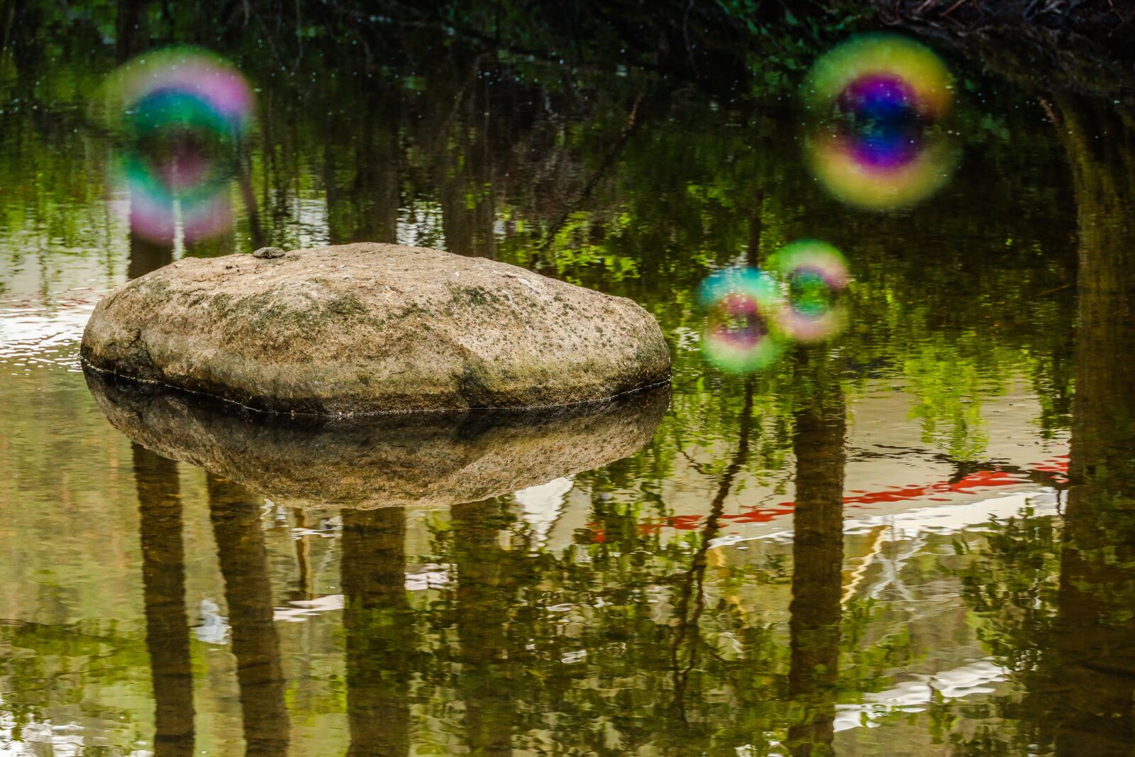 Canon RF 24-240mm F4-6.3 IS USM sample photo. Soap bubble, nature, river photography