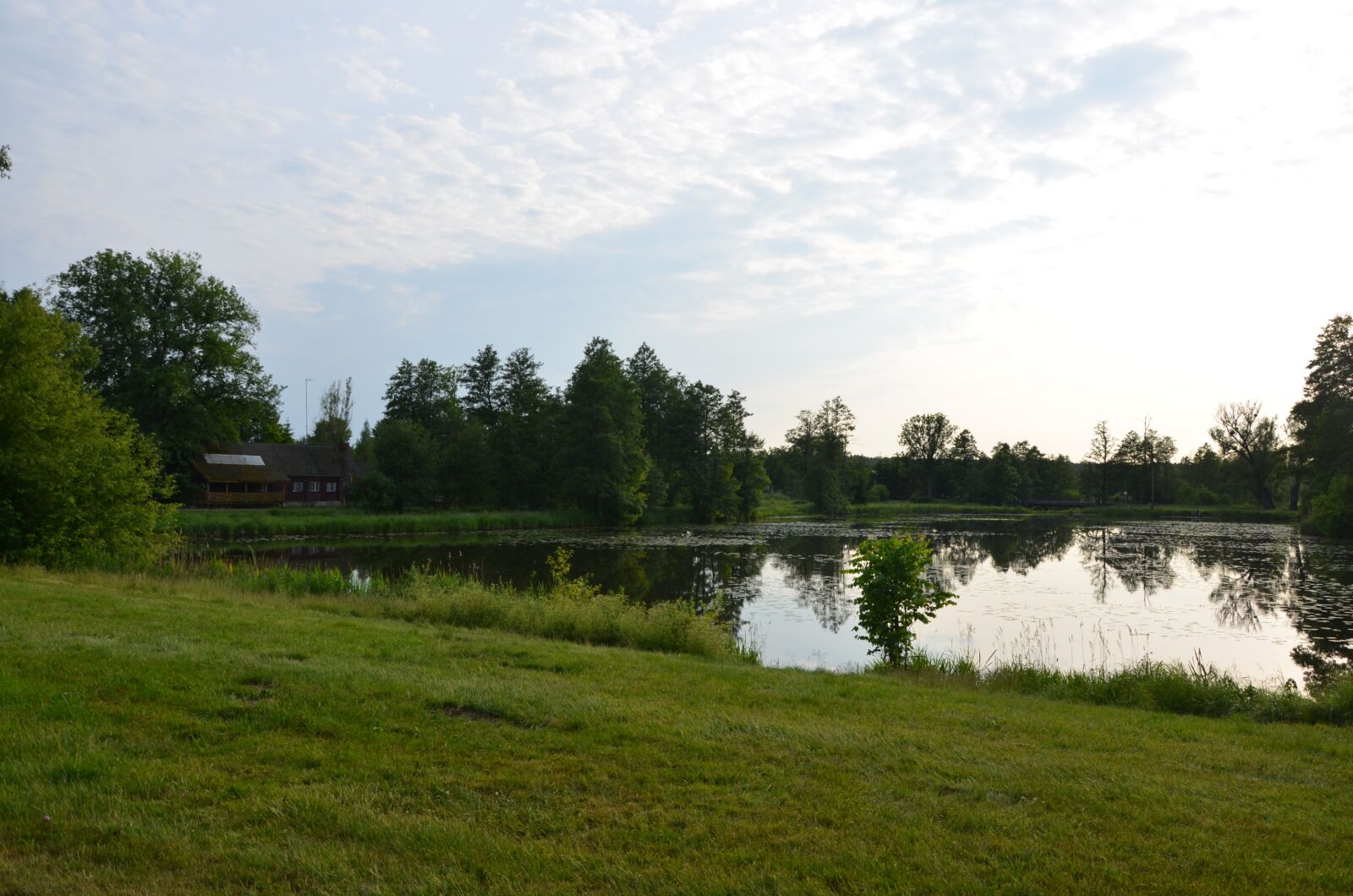 Nikon D5100 sample photo. Pond, meadow, bia owie photography