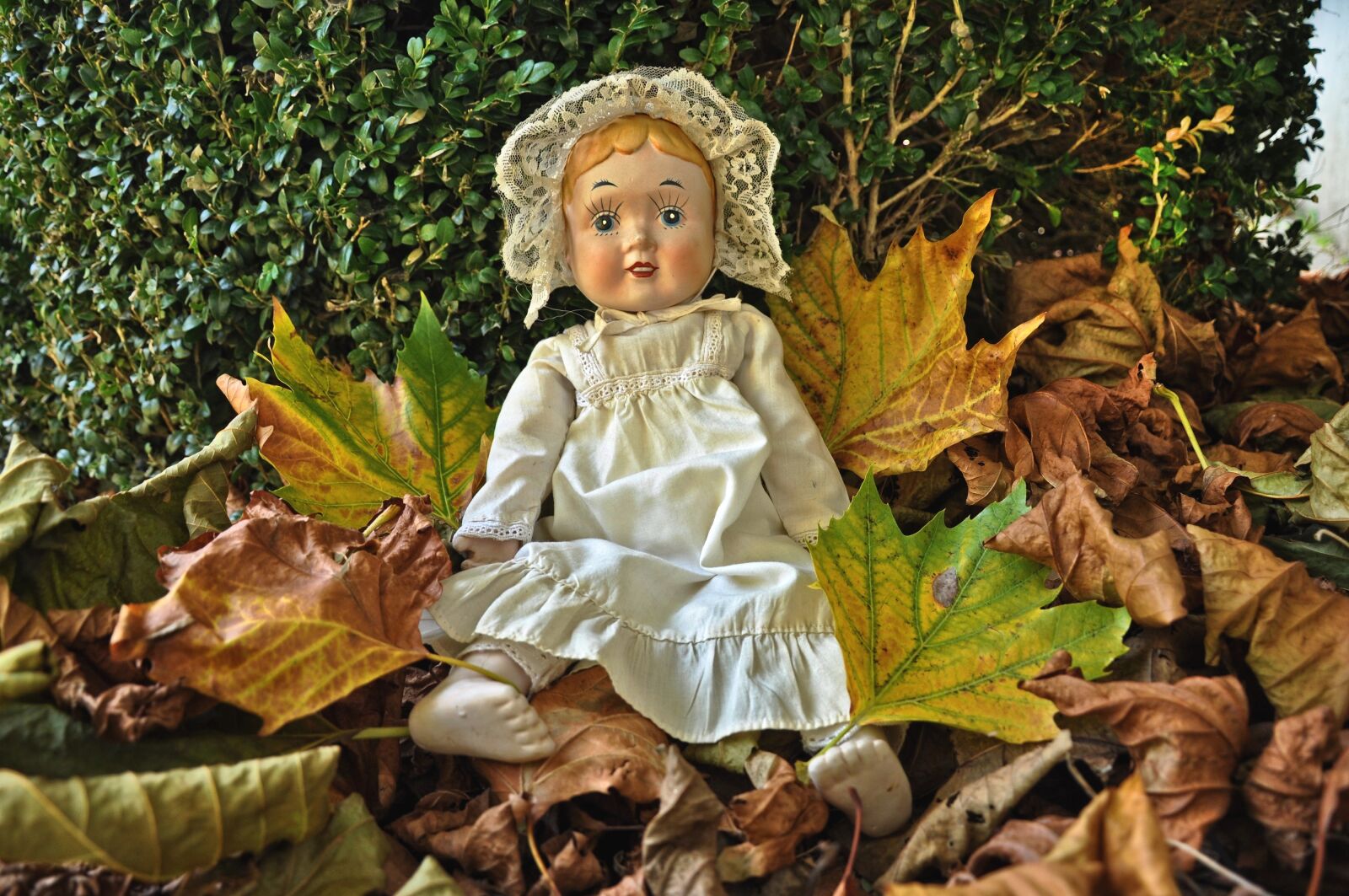 Nikon D90 sample photo. Doll, porcelain, toy photography