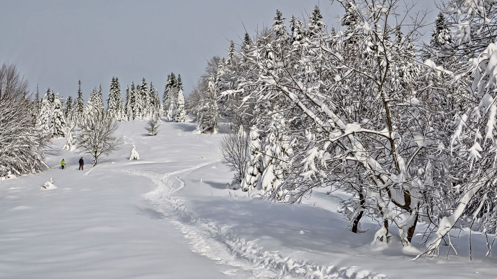 Nikon D7000 sample photo. Winter, tourism, landscape photography