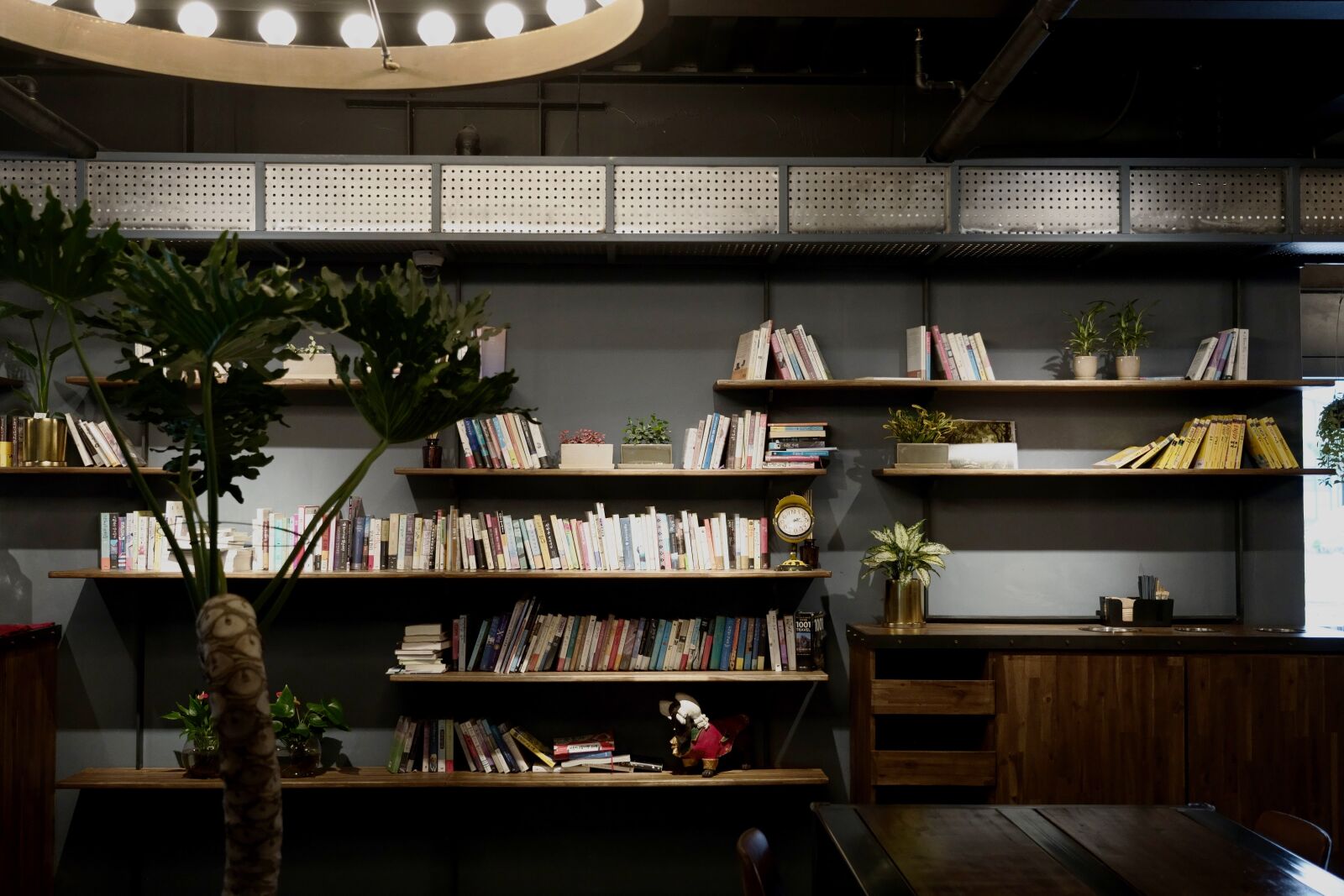 Sony FE 24-105mm F4 G OSS sample photo. Cafe, book, mood photography