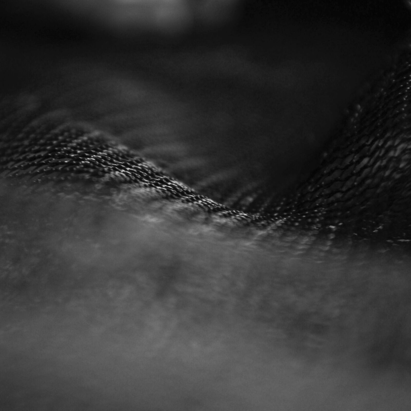 Nikon D3100 sample photo. Abstract, black, and, white photography