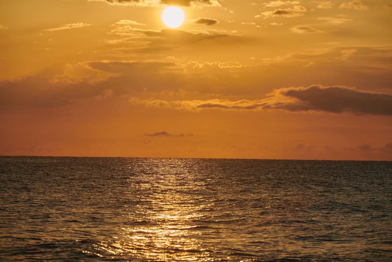 Nikon D850 sample photo. Tropical, dominican republic, beach photography