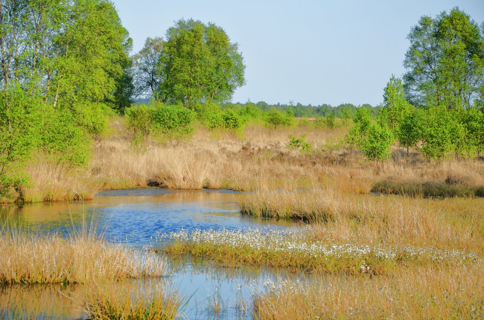Nikon D5100 sample photo. East frisia, moor, lower photography