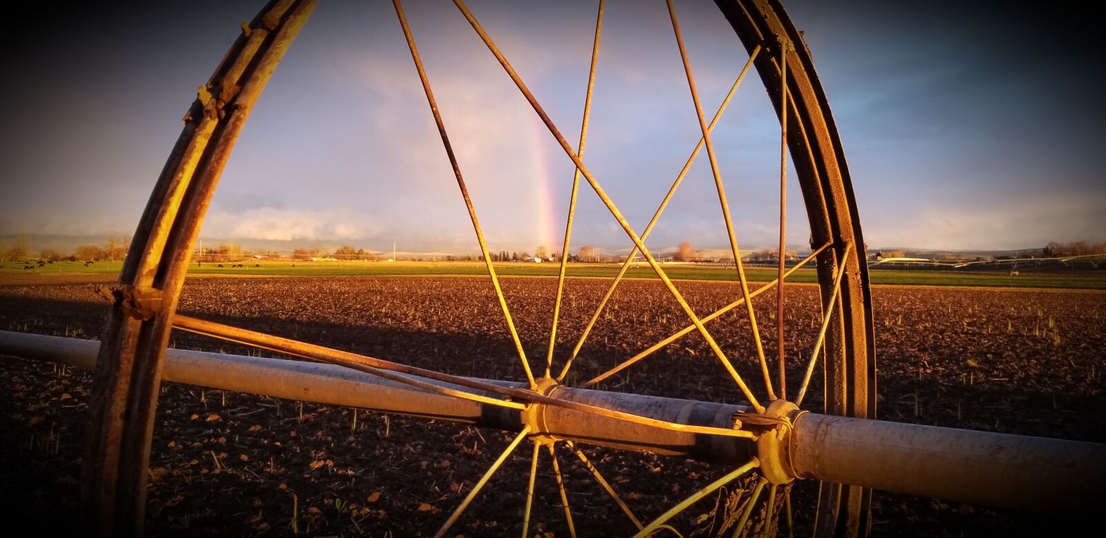 Samsung Galaxy S8 sample photo. Wheel, wheel line, sunset photography