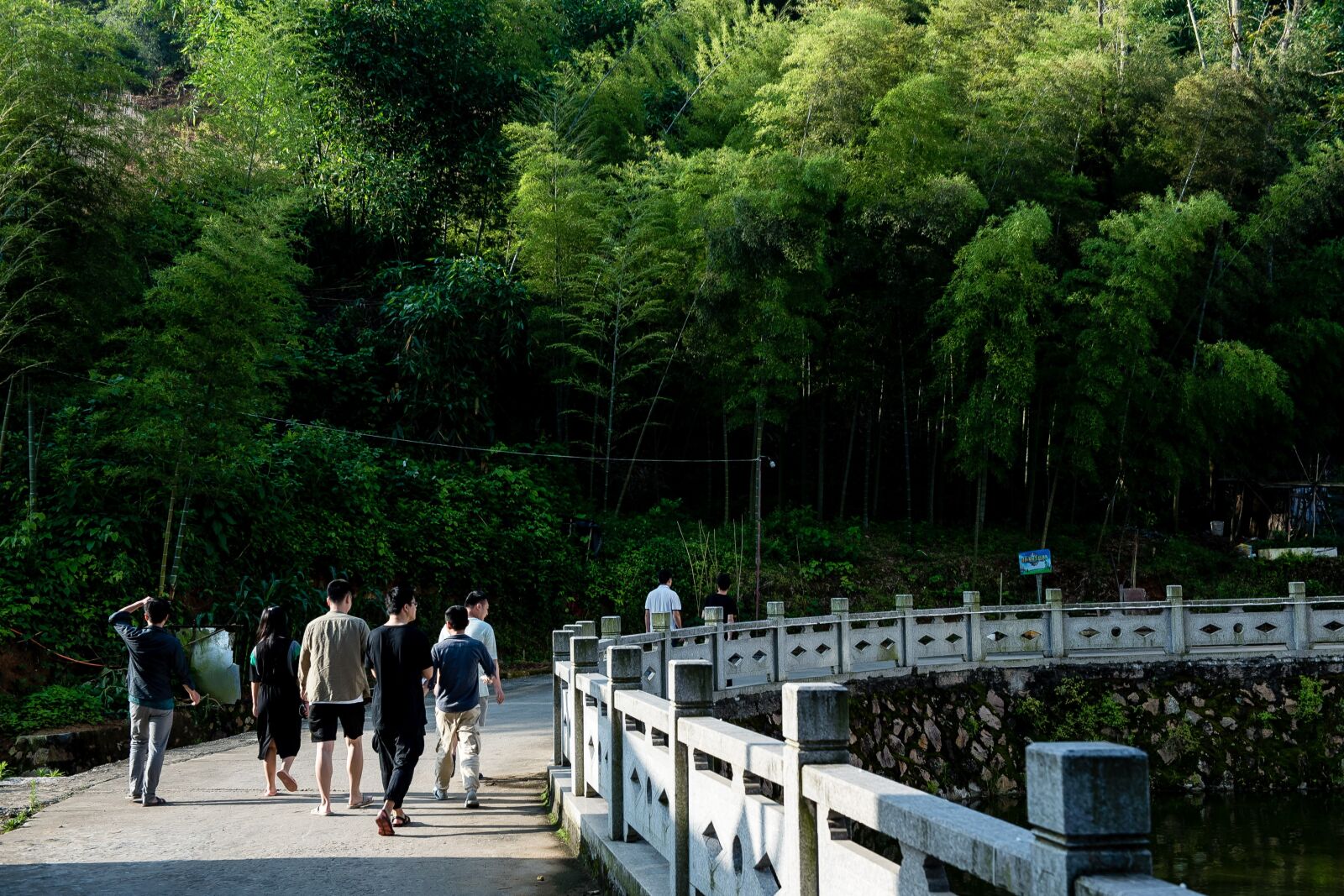 Nikon D810 sample photo. 游客, 湖边, 行走 photography