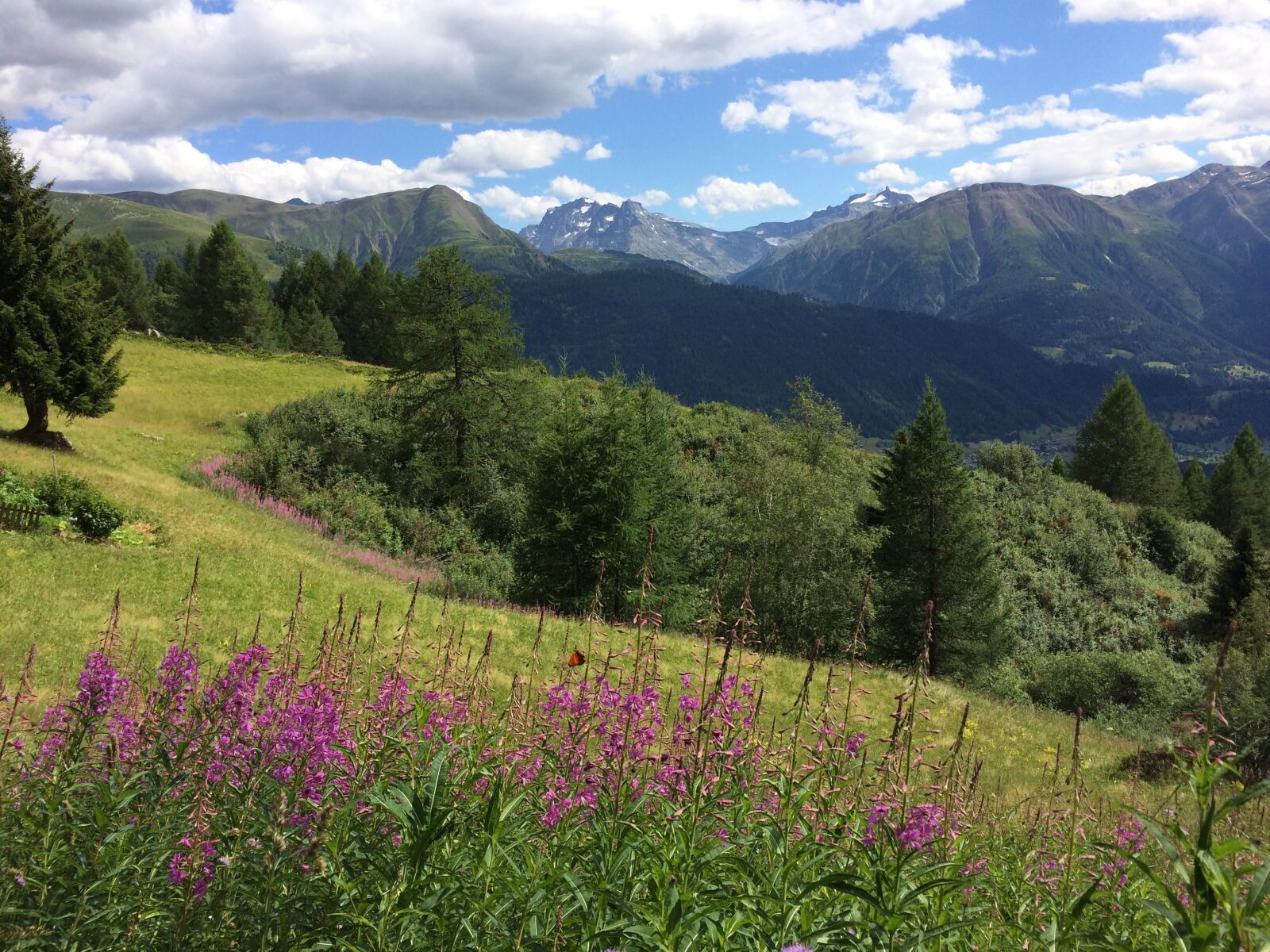 iPhone 5s back camera 4.15mm f/2.2 sample photo. Alpine, nature, landscape photography