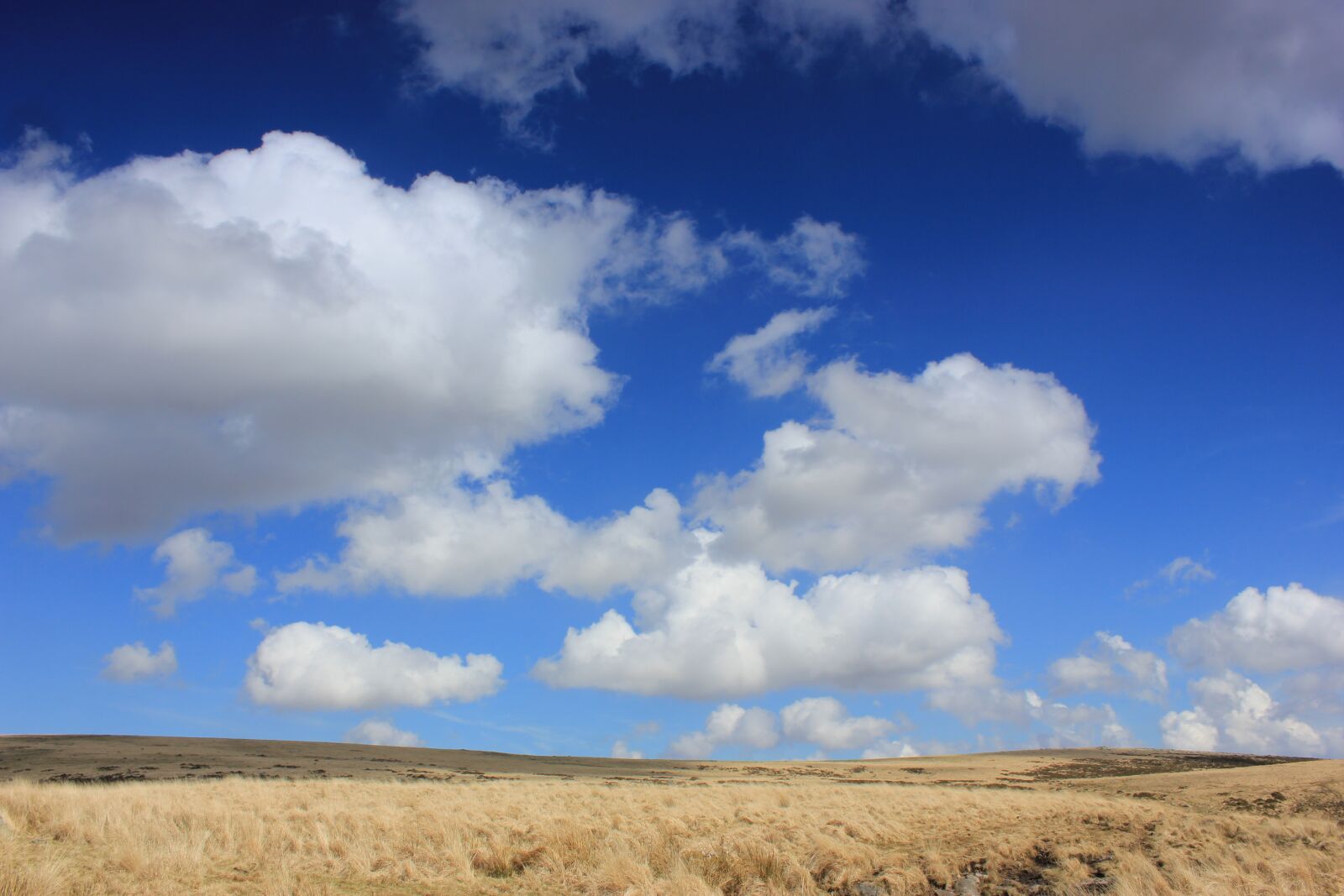 Canon EOS 550D (EOS Rebel T2i / EOS Kiss X4) sample photo. Sky, landscape, grass photography
