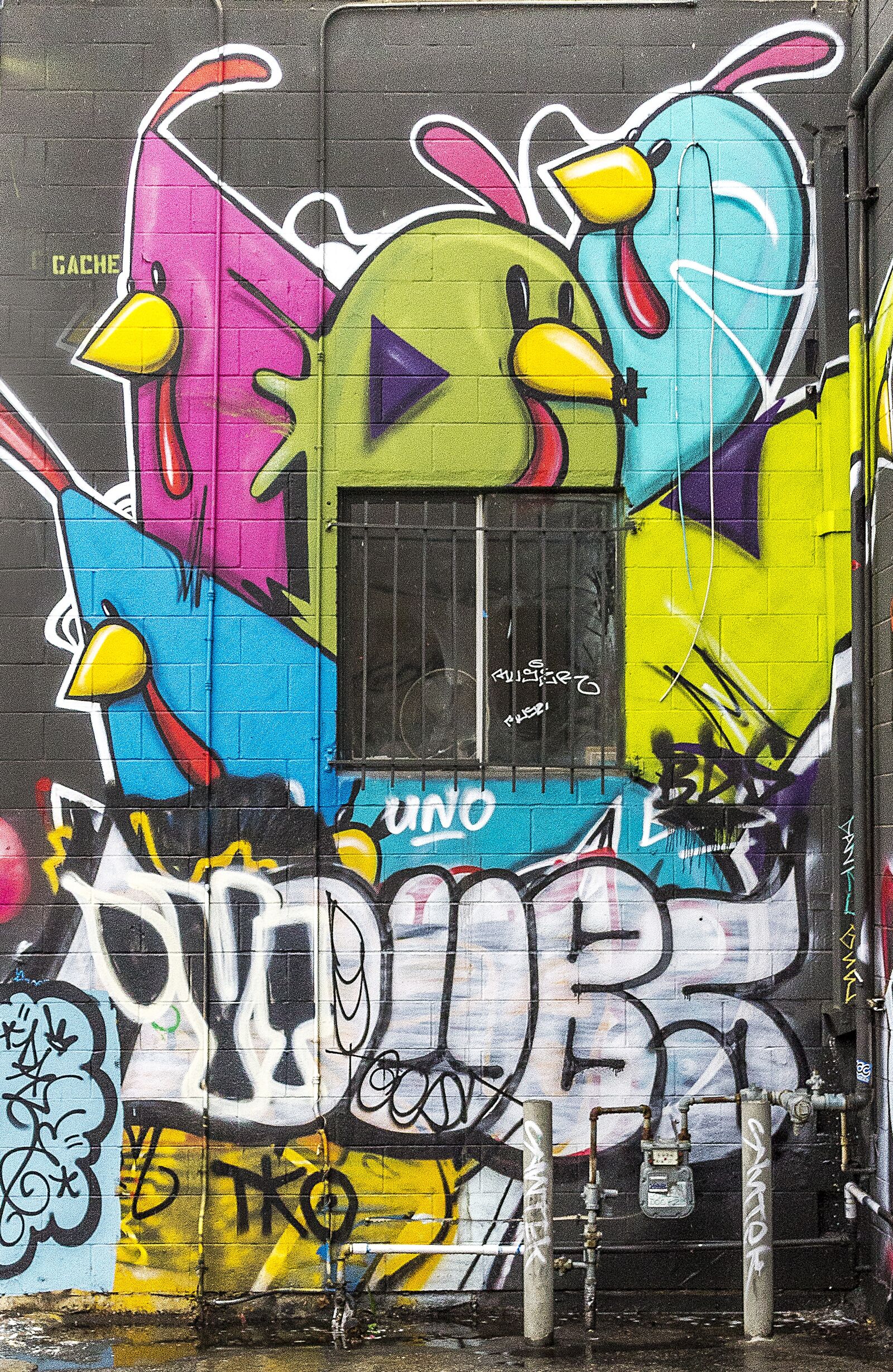 Canon EOS 1100D (EOS Rebel T3 / EOS Kiss X50) sample photo. Background, graffiti, grunge photography