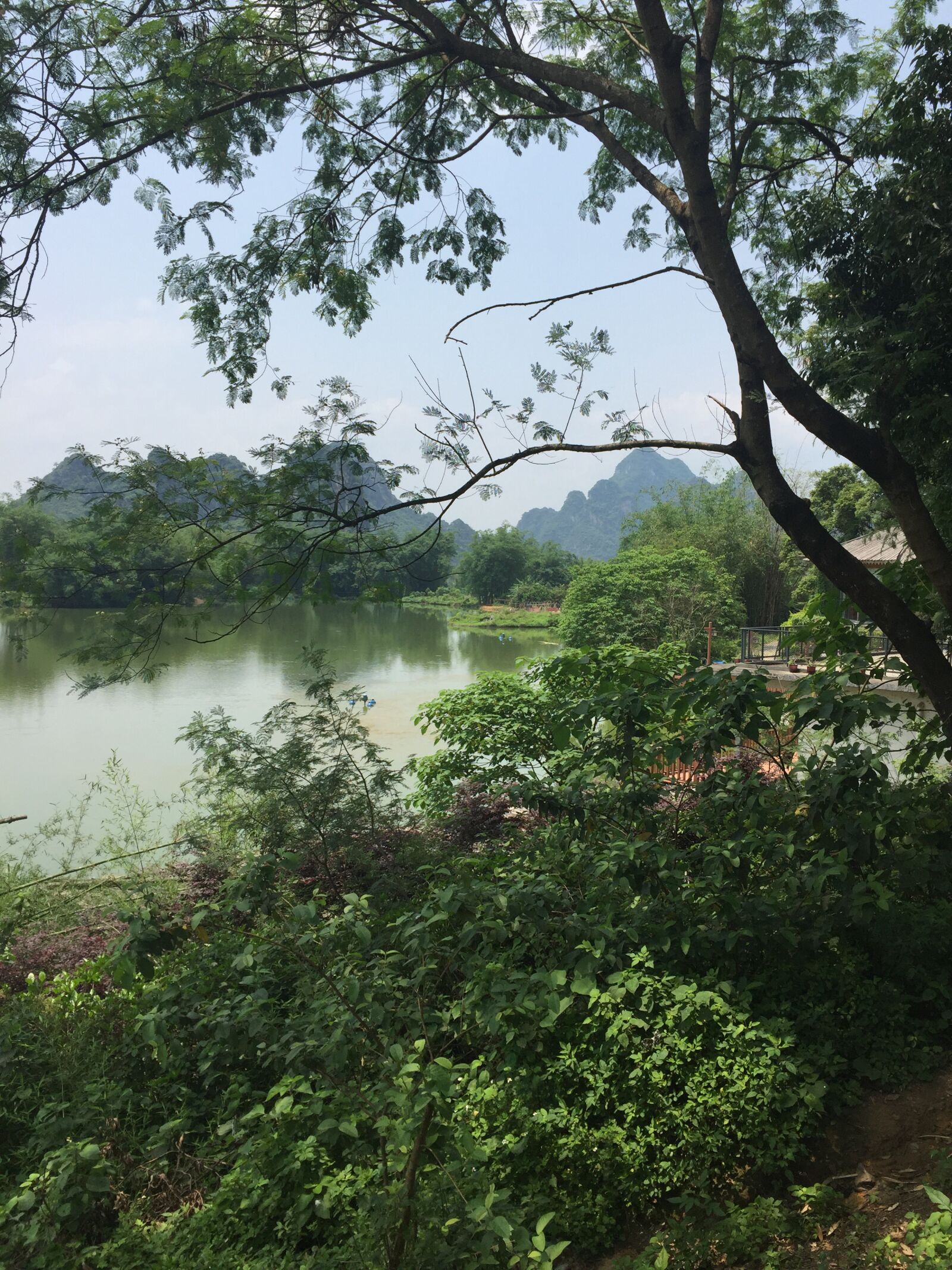 Apple iPhone 6 sample photo. Landscape, lake, serene photography