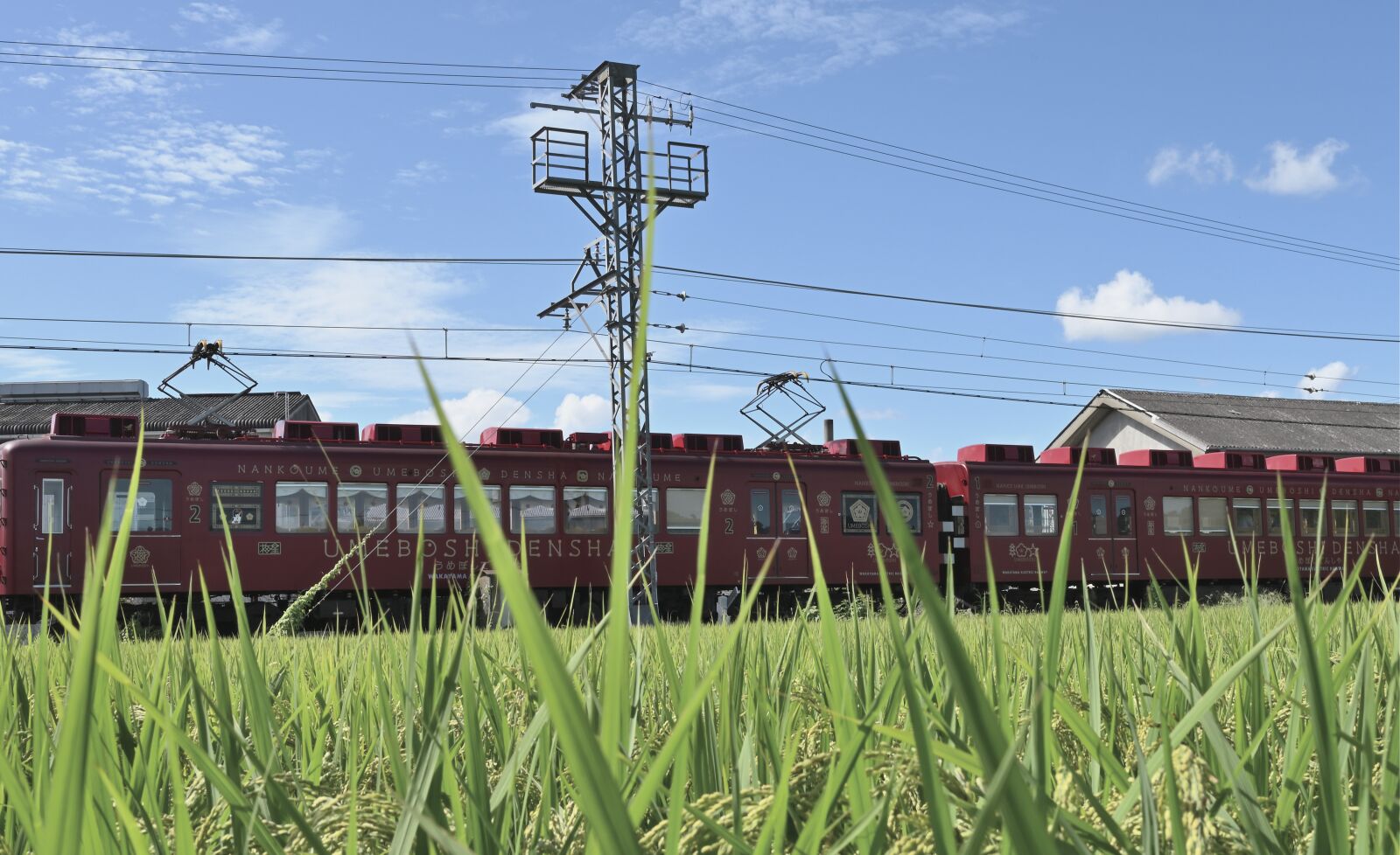 Nikon Z6 sample photo. Electric train, japan, yamada's photography