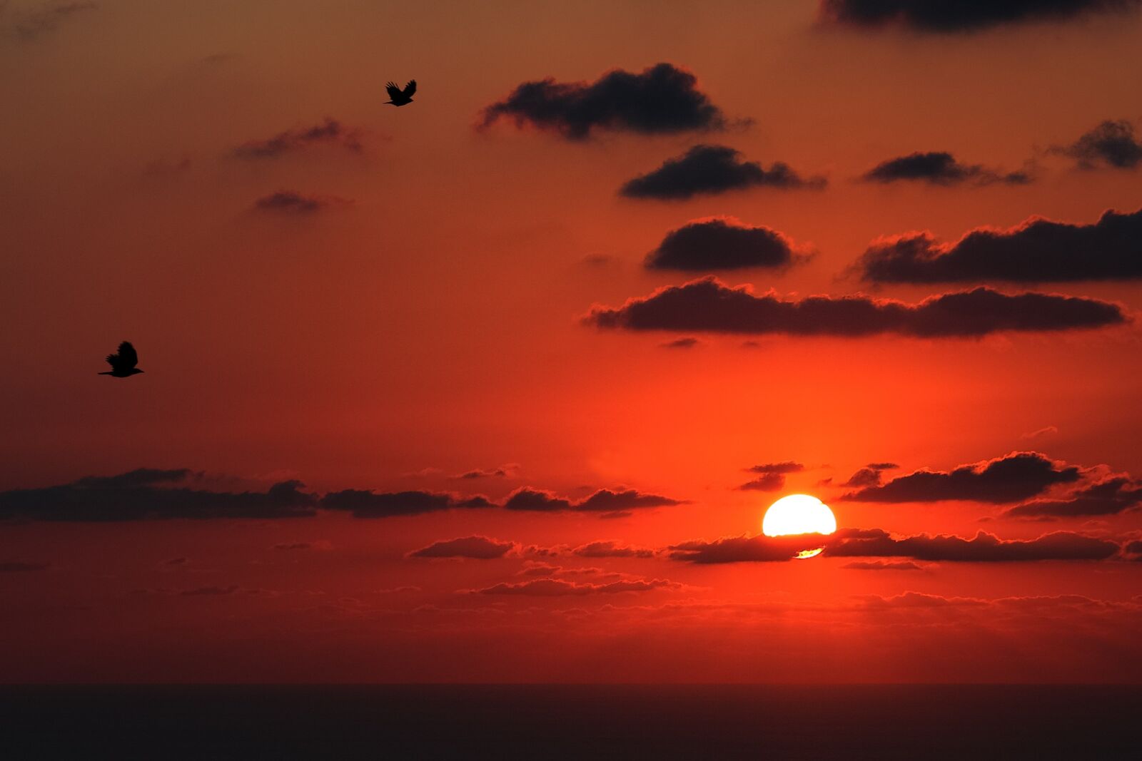 Canon EOS R sample photo. Sun, sunset, silhouette photography