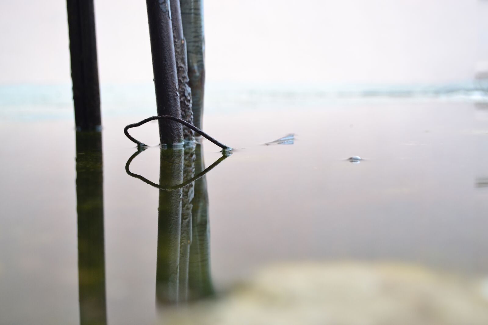 Nikon D3100 sample photo. Water, oxide, symmetry photography
