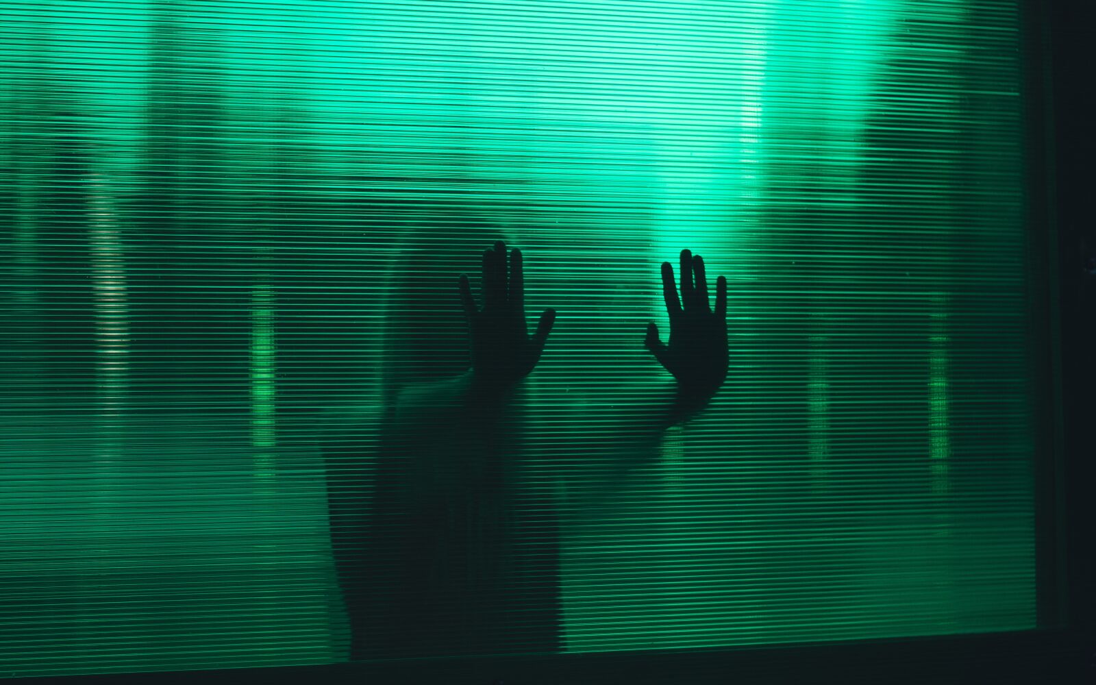 Nikon D5300 sample photo. Glass, hands, palm photography