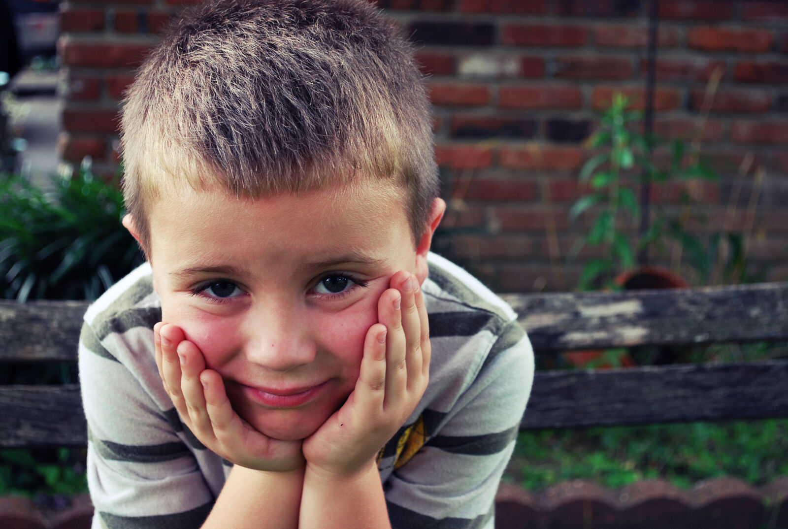 Nikon D60 sample photo. Boy, idea, royalty, free photography
