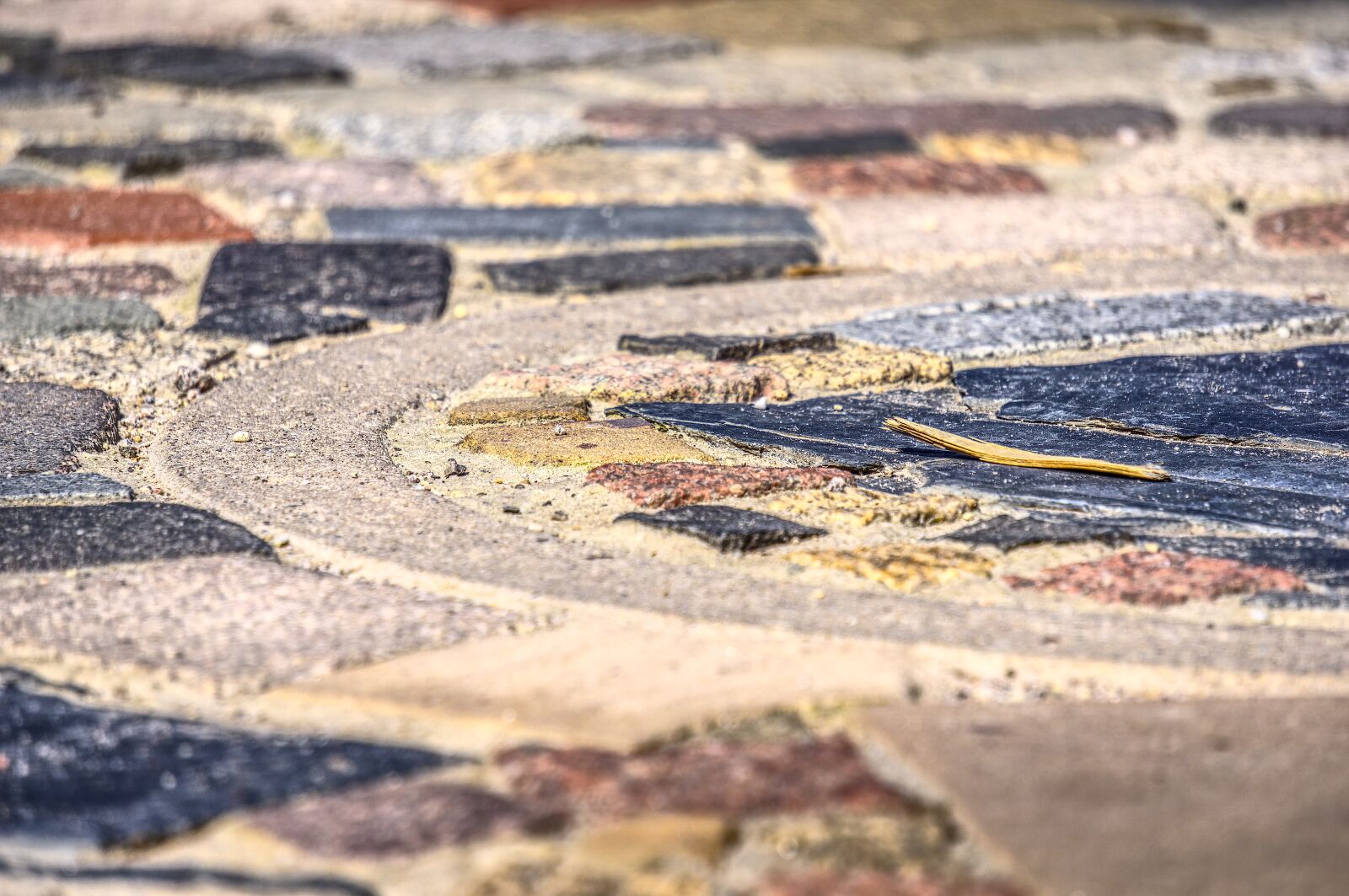 Sony a6000 sample photo. Pattern, structure, background photography