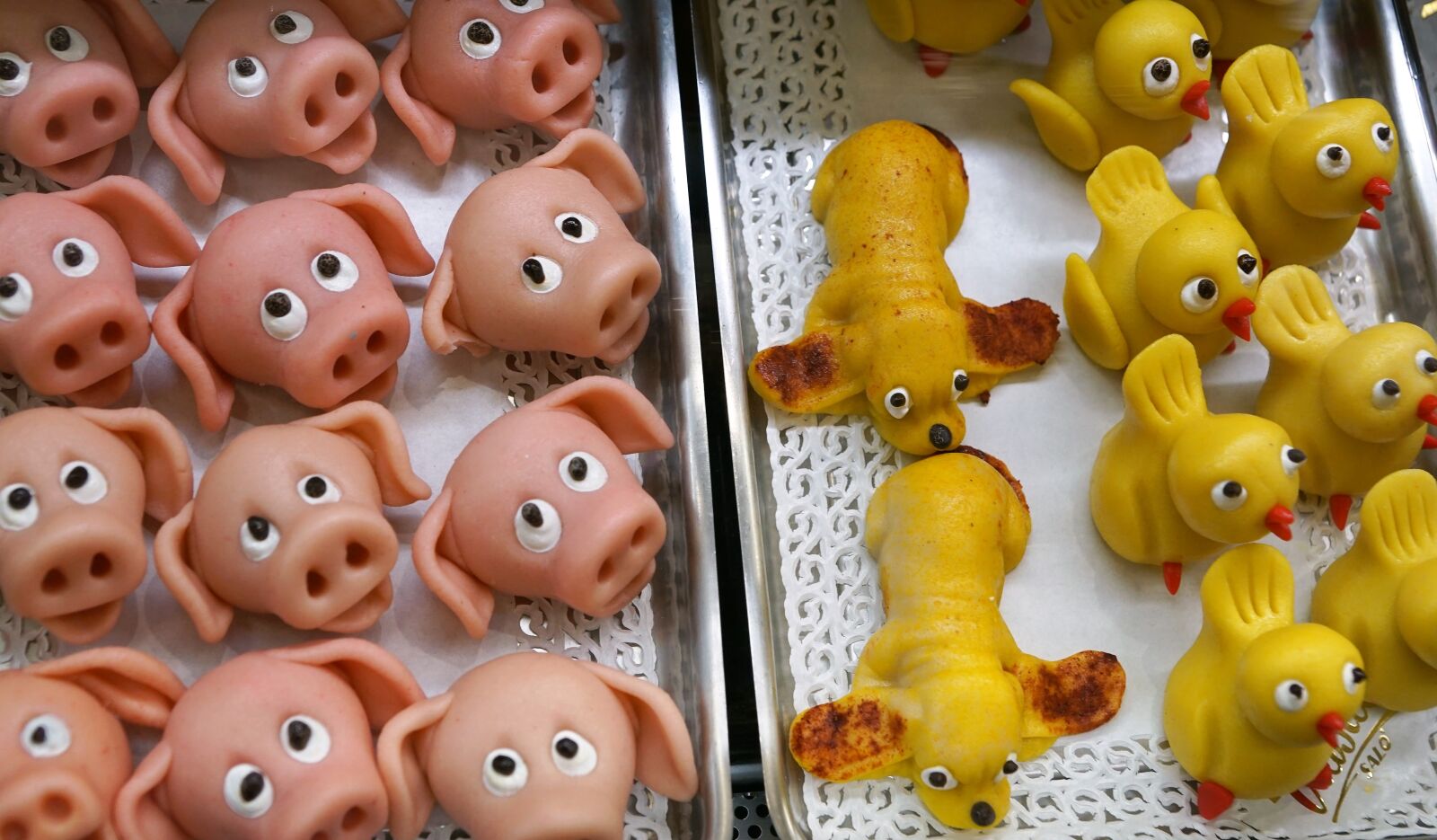 Sony ILCA-77M2 + Sony DT 16-50mm F2.8 SSM sample photo. Sweet, marzipan, pig photography