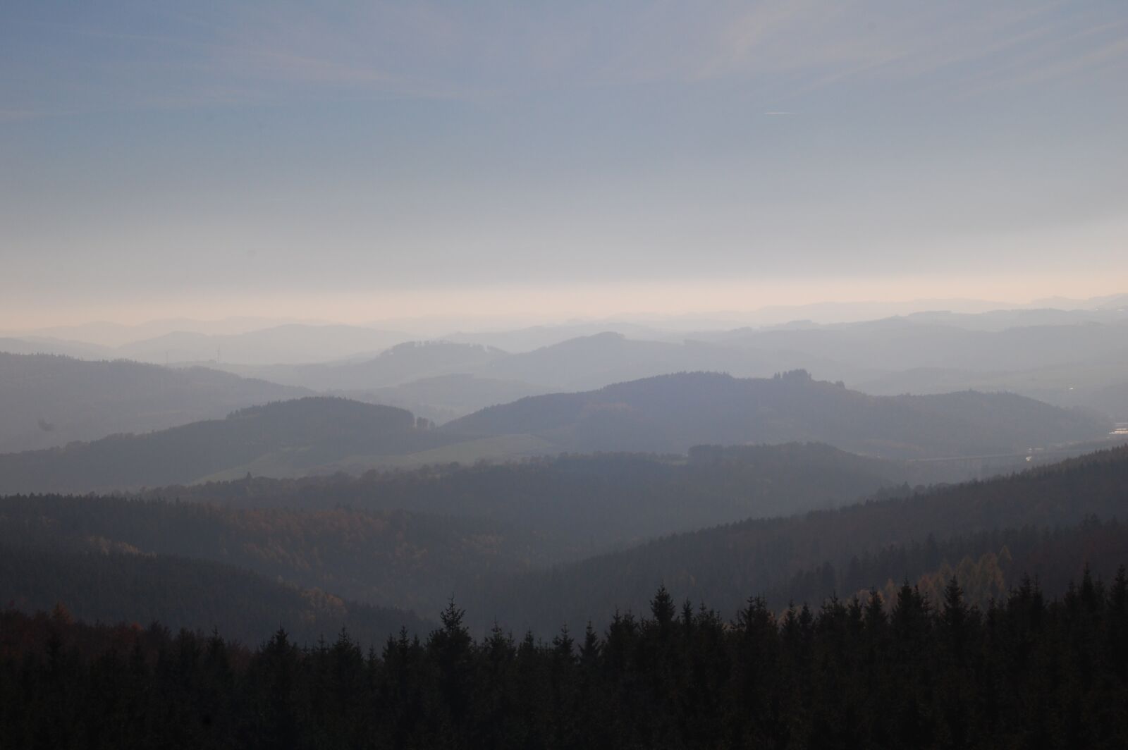 Nikon D40 sample photo. Sauerland, forest, germany photography