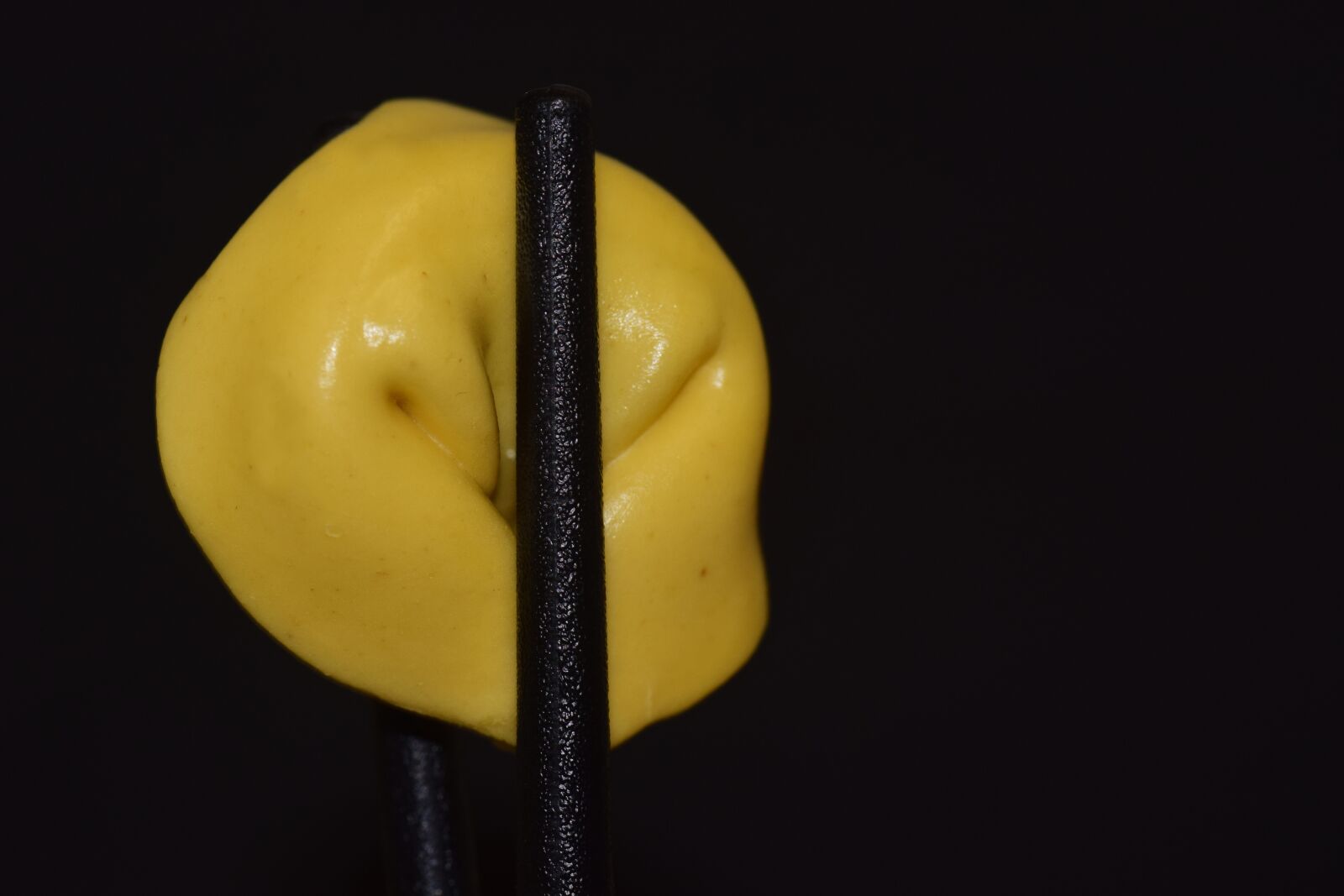 Nikon D3300 sample photo. Noodle, tortellini, chopsticks photography