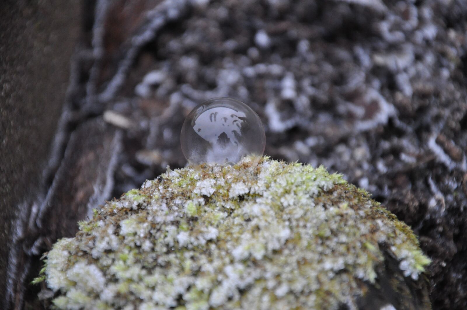 Nikon D5000 sample photo. Eifenblase, winter, ice photography