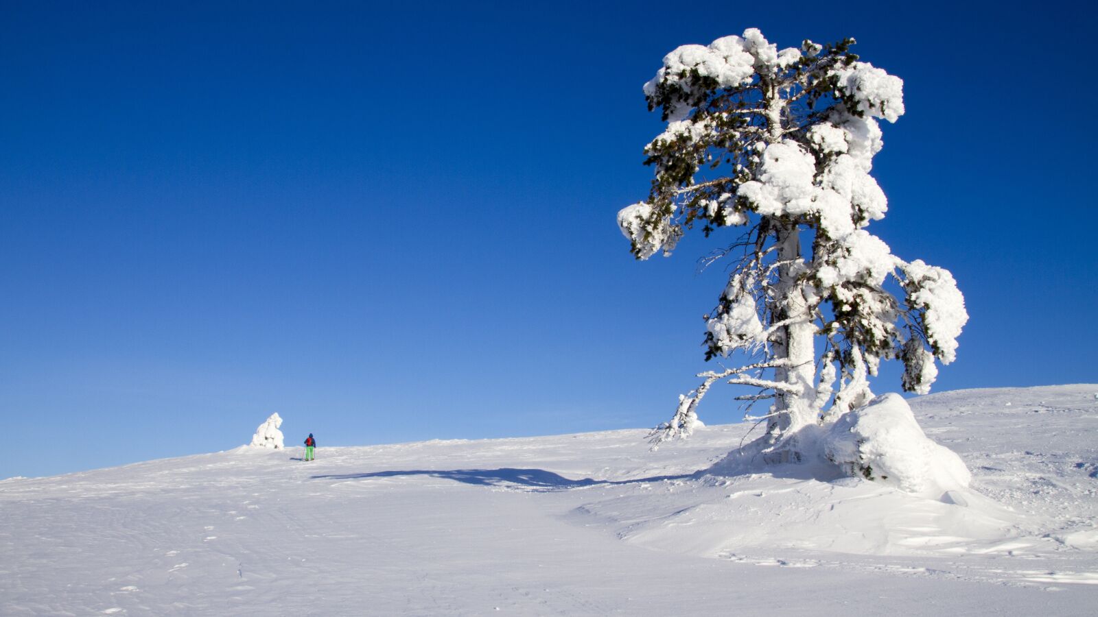 Canon EOS 7D sample photo. Snow shoe snow shoe photography