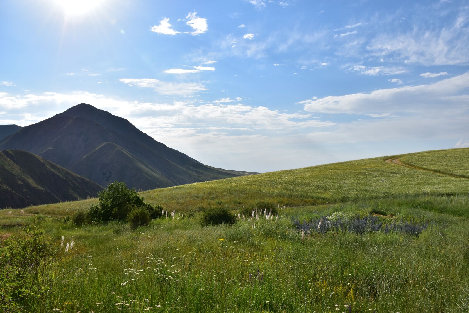 Nikon D5600 sample photo. Land, mountain, field photography