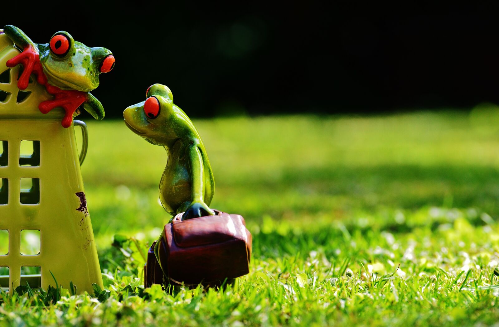 Nikon D3200 sample photo. Frogs, at home, welcome photography