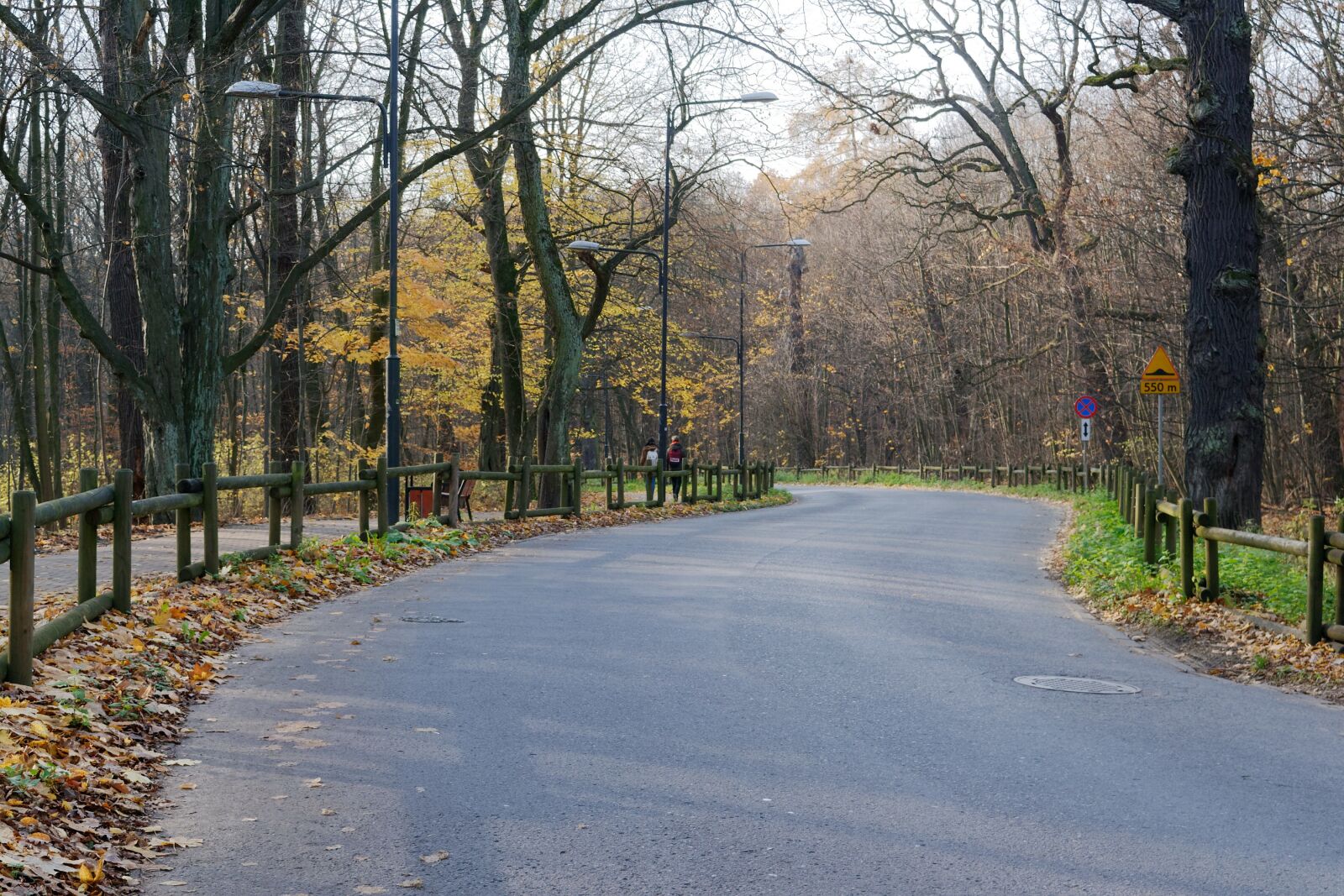 Nikon D3100 sample photo. Landscape, road, alley photography