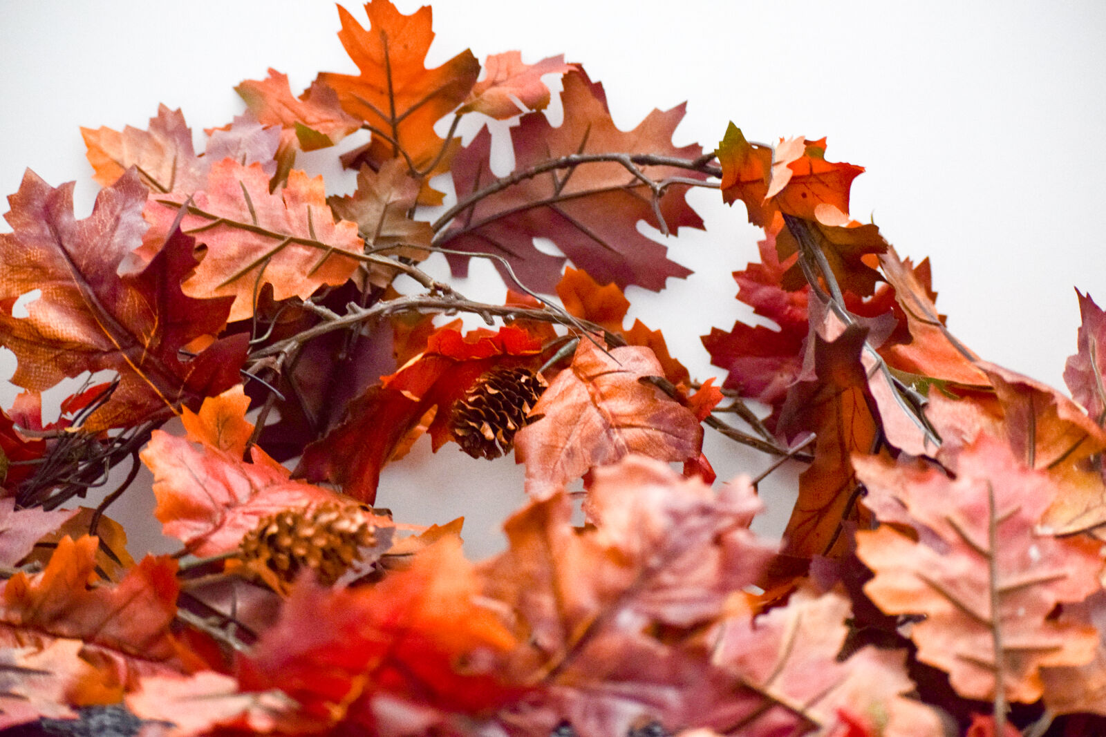 Nikon D3300 sample photo. Fall, fall, foliage, fall photography