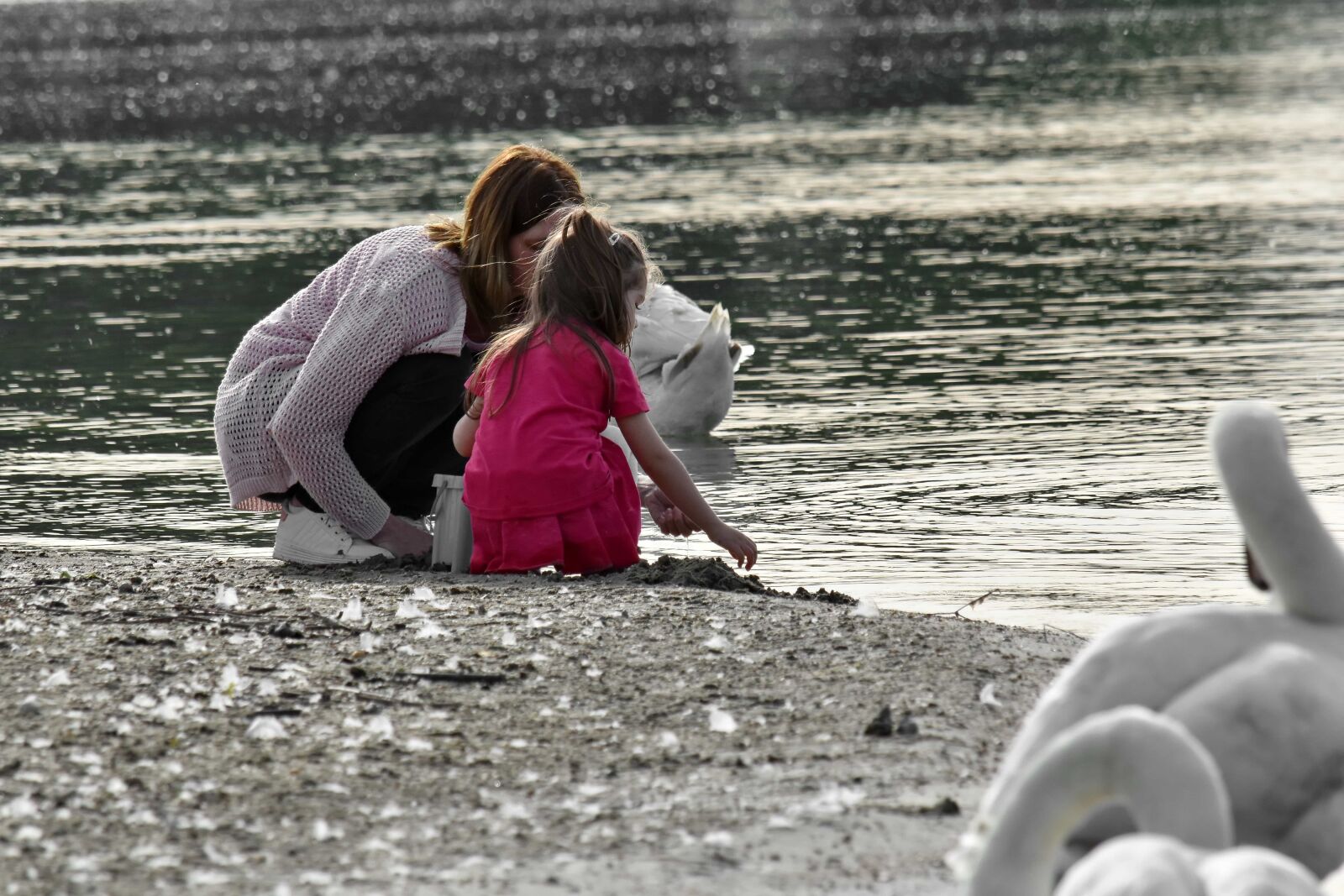 Nikon D5500 sample photo. Daughter, mother, swan, beach photography