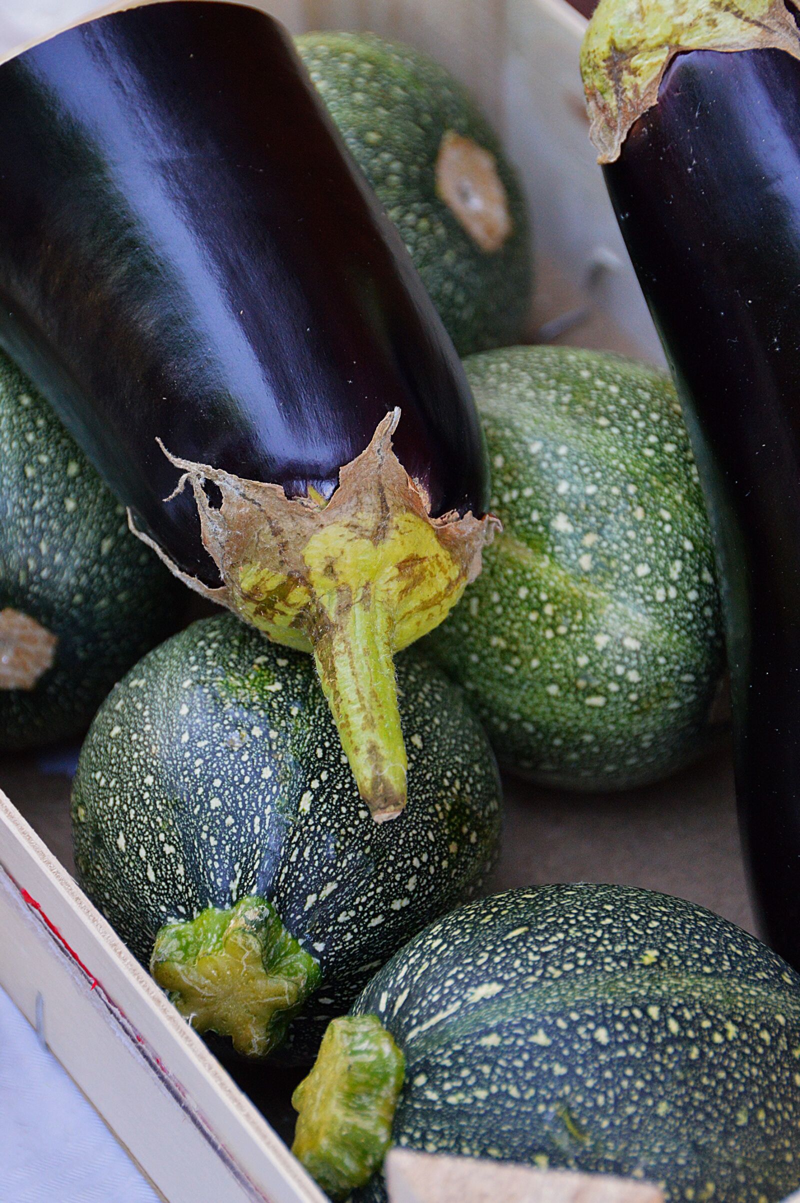 Nikon D3200 sample photo. Zucchini, vegetables, green photography