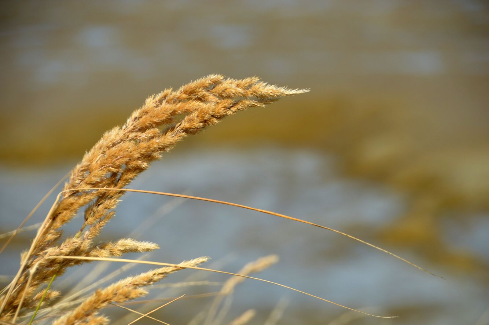 Nikon D3200 sample photo. Sea, beach, hauts de photography