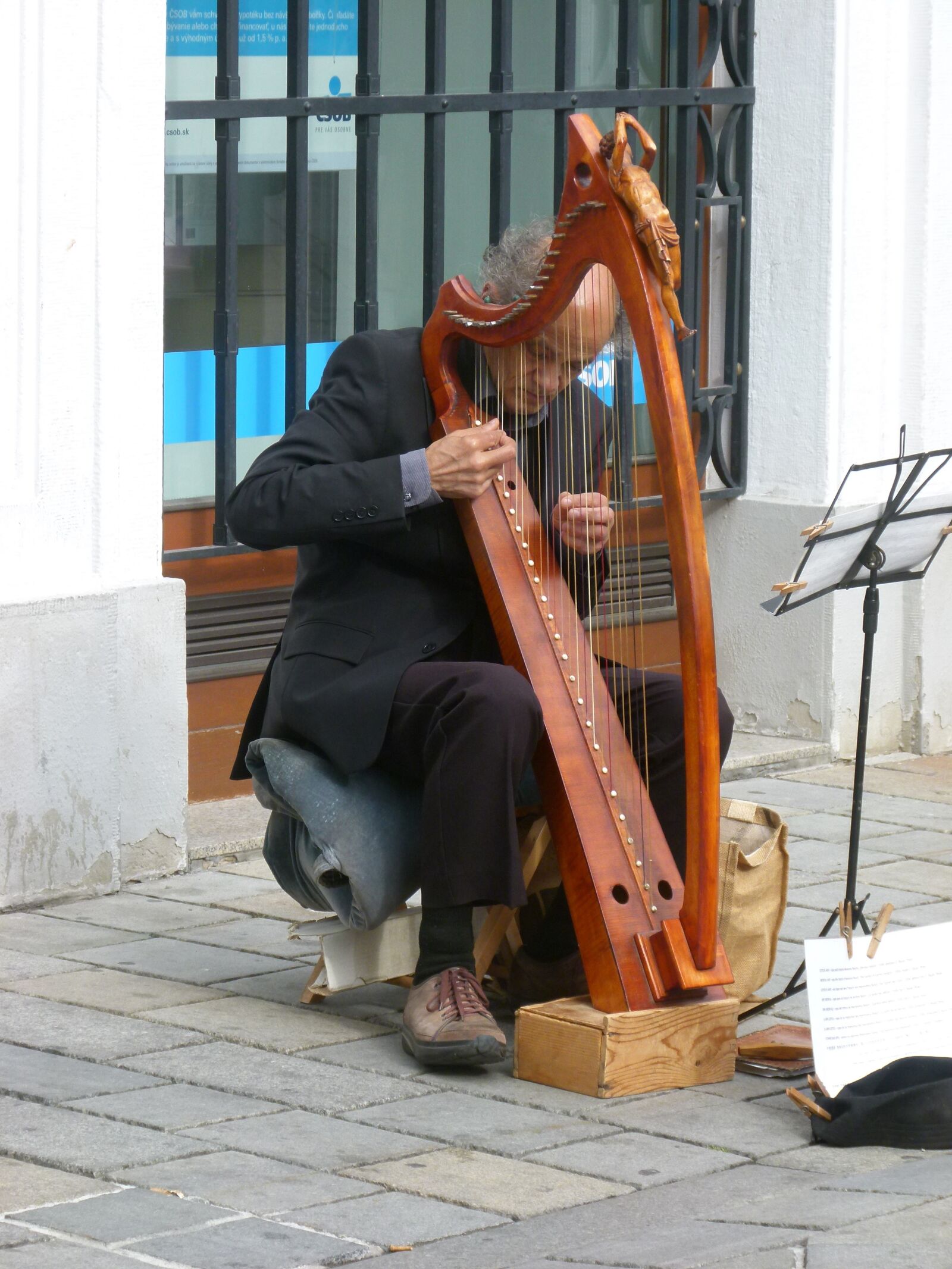 Panasonic Lumix DMC-FZ100 sample photo. Bratislava, street musician, harp photography