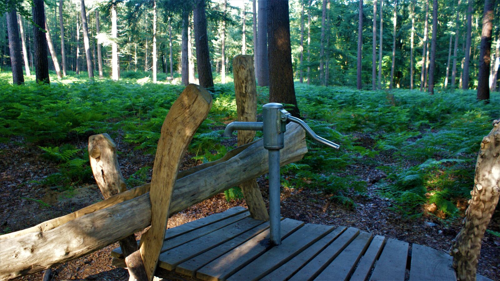 Sony Alpha DSLR-A350 sample photo. Water pump, forest, summer photography