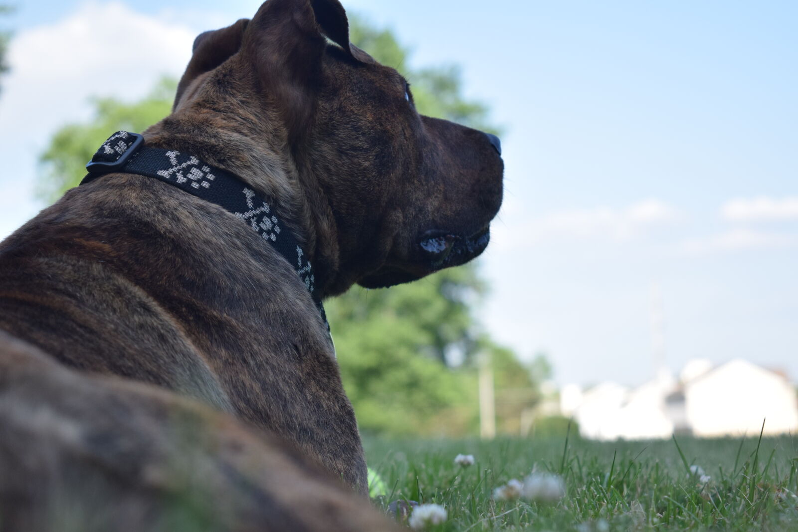 Nikon D3300 sample photo