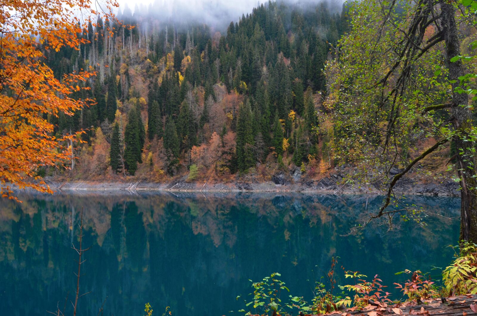 Nikon D5100 sample photo. Abkhazia, autumn, nature photography