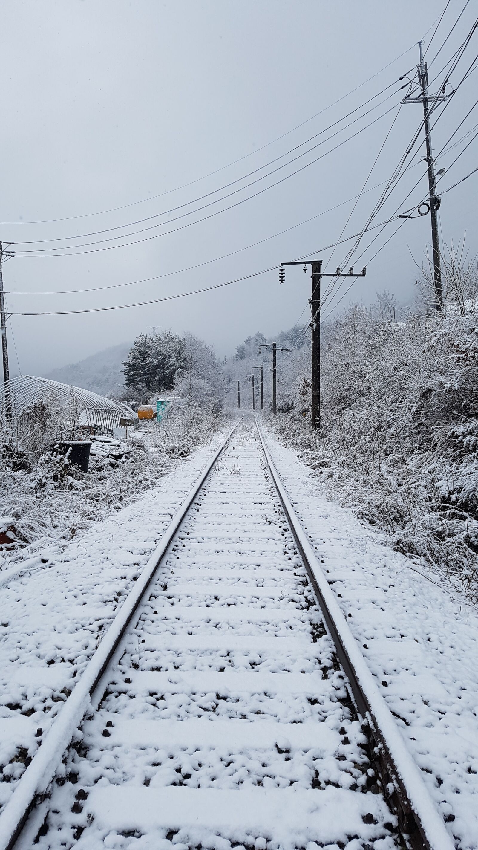 Samsung Galaxy S7 sample photo. The train path, winter photography
