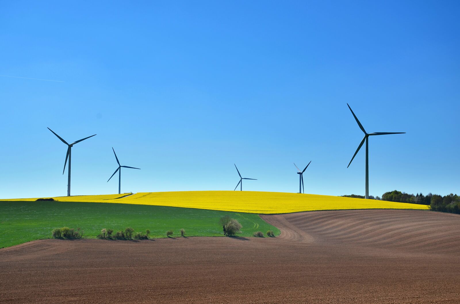 Nikon D5100 sample photo. Sustainable development, wind turbine photography